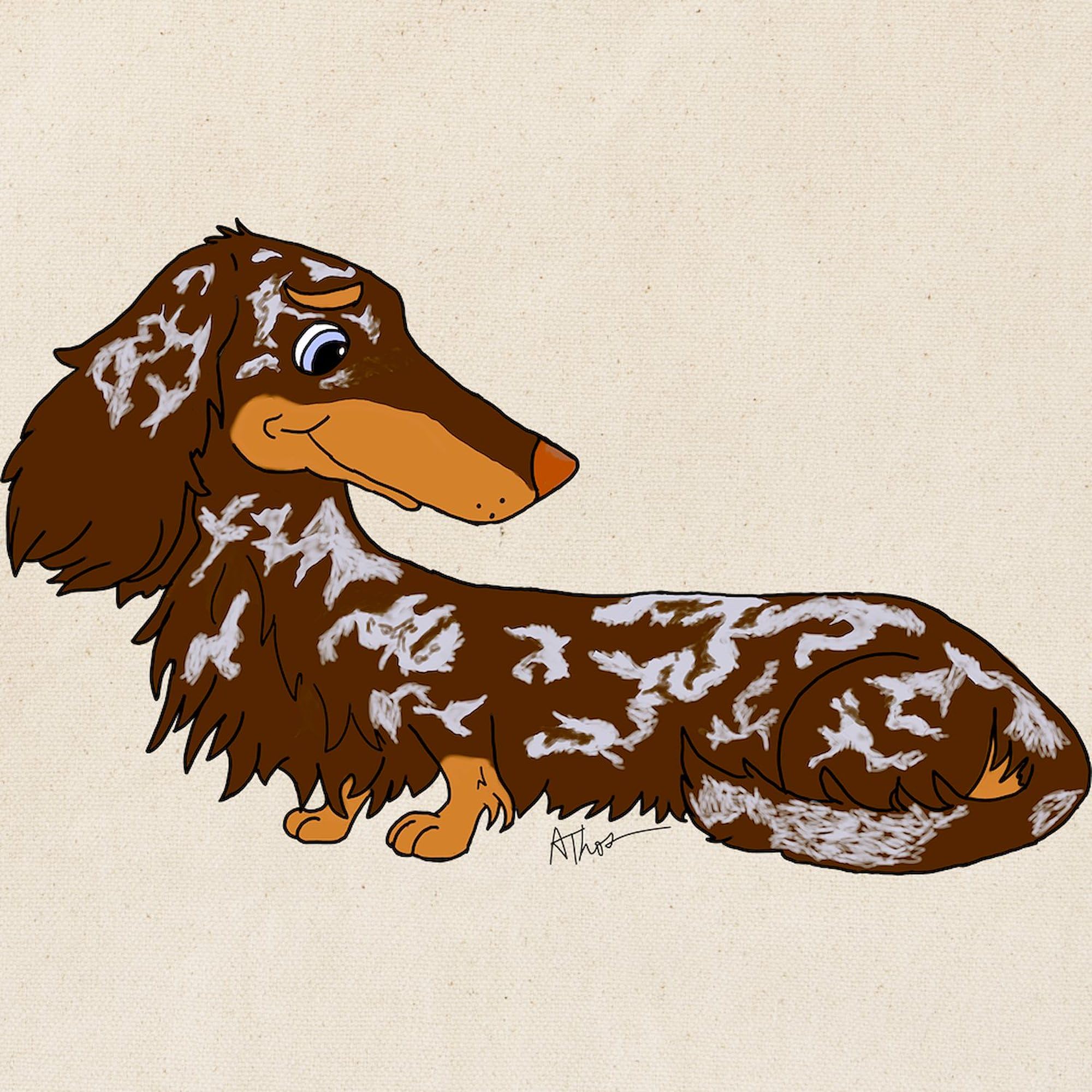 Stylish Chocolate Dapple Dachshund Canvas Tote Bag - Eco-Friendly Reusable Shopping Bag for Groceries, Beach & Daily Use