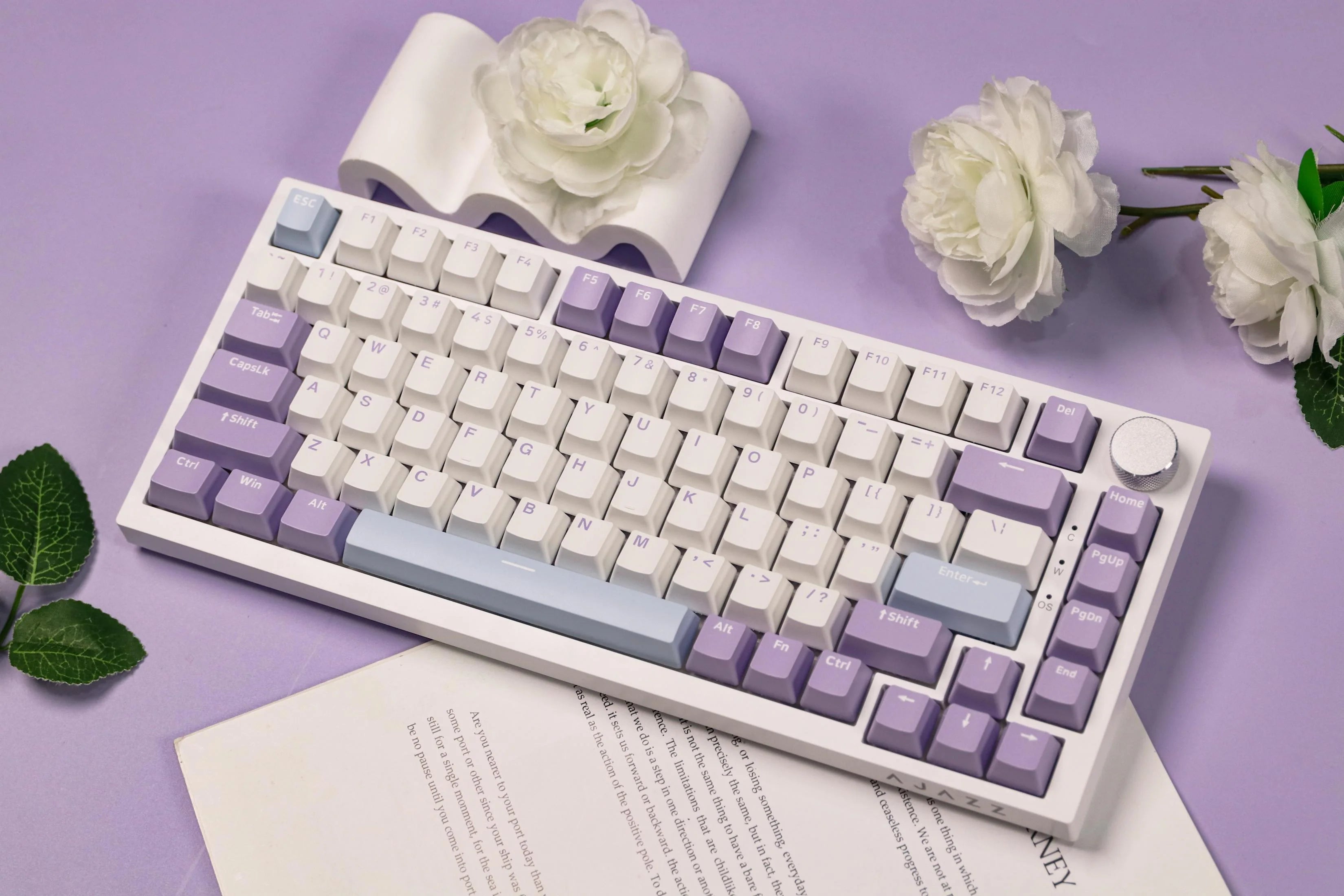 Ajazz AK820 Purple RGB Mechanical Gaming Keyboard with Sea Salt Switches - Perfect for Typing, Gaming & Office Work