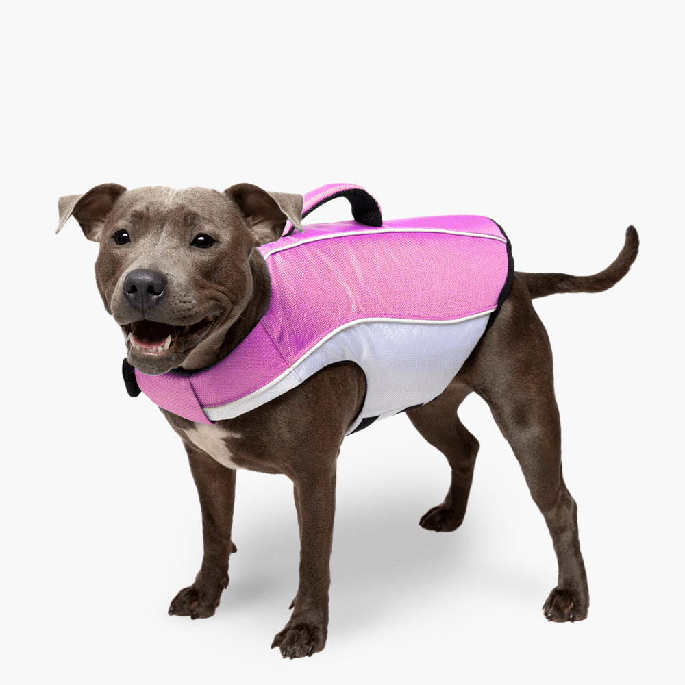 Dog Life Jacket for Swimming & Boating - Pink Safety Vest for Small Medium Large Dogs - Waterproof Buoyancy Aid for Pools, Lakes & Beach
