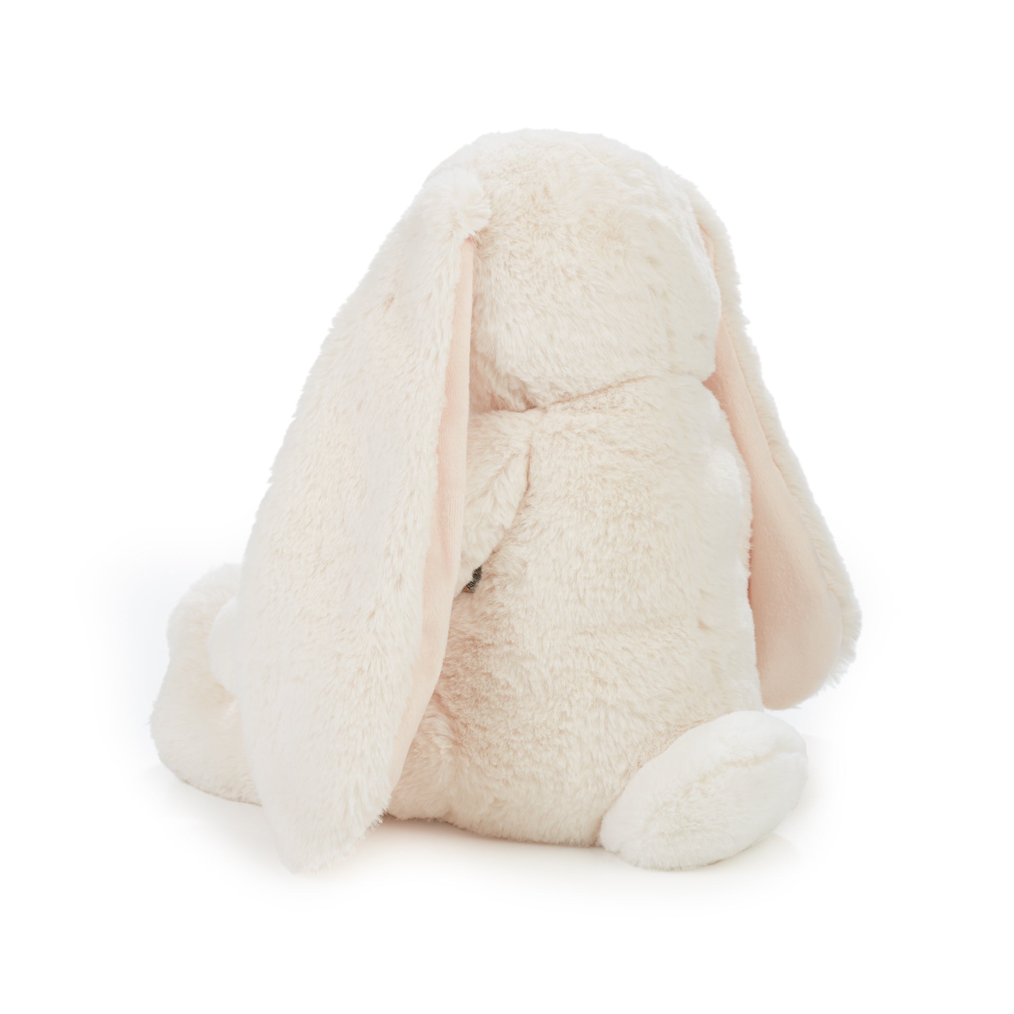 A Lovey Story Book and Bunny Gift Set - Perfect Baby Shower, Newborn, and First Birthday Gift for Boys & Girls - Ideal for Bedtime Reading and Cuddling