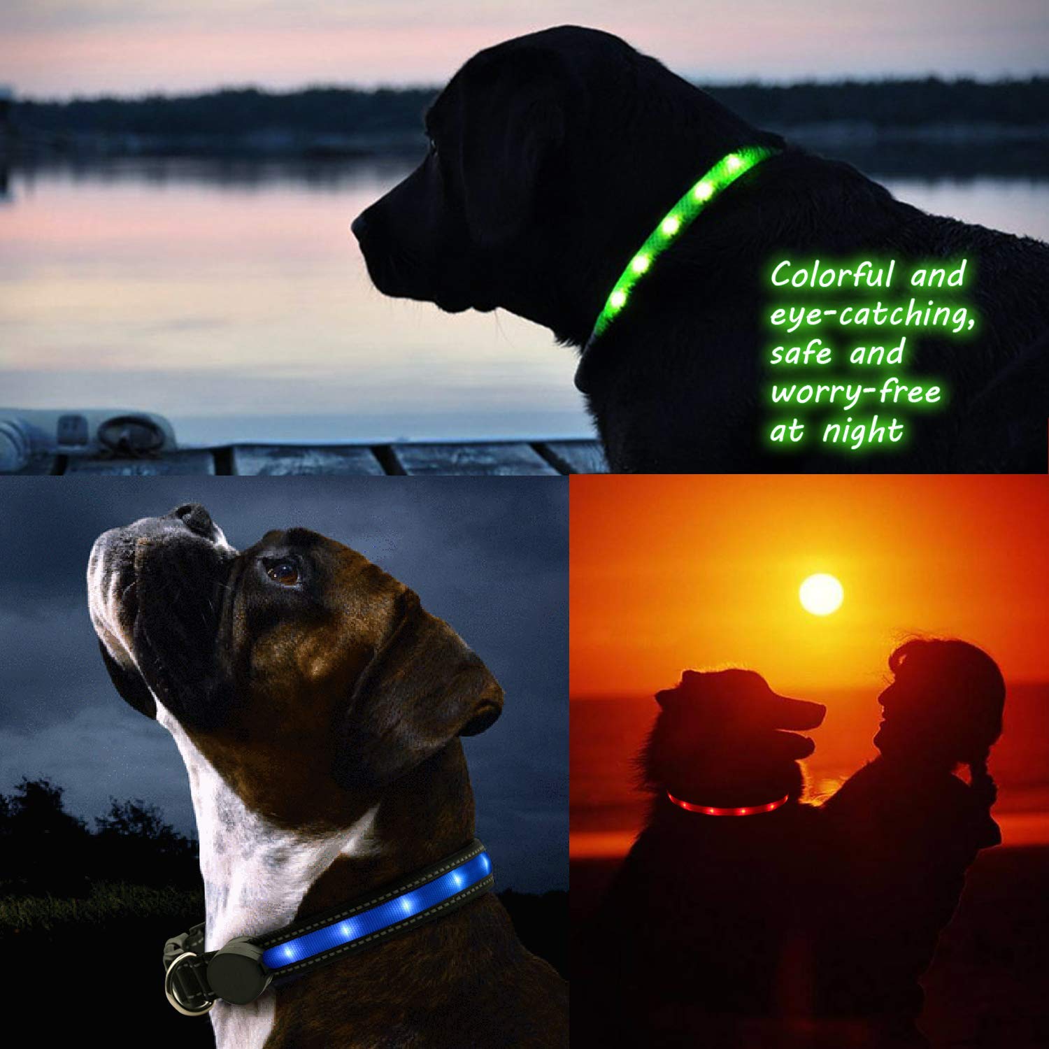 USB Rechargeable LED Dog Collar with 7 Color Changing Modes - Glow in The Dark Adjustable Safety Collar for Small/Medium/Large/XL Dogs - Perfect for Night Walks, Jogging & Outdoor Adventures