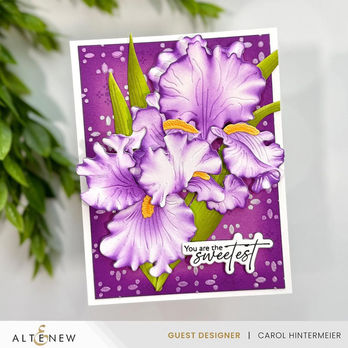 4-in-1 Floral Pattern Stencil Set for DIY Crafts, Wall Painting, and Fabric Design - Perfect for Home Decor, Scrapbooking & Art Projects