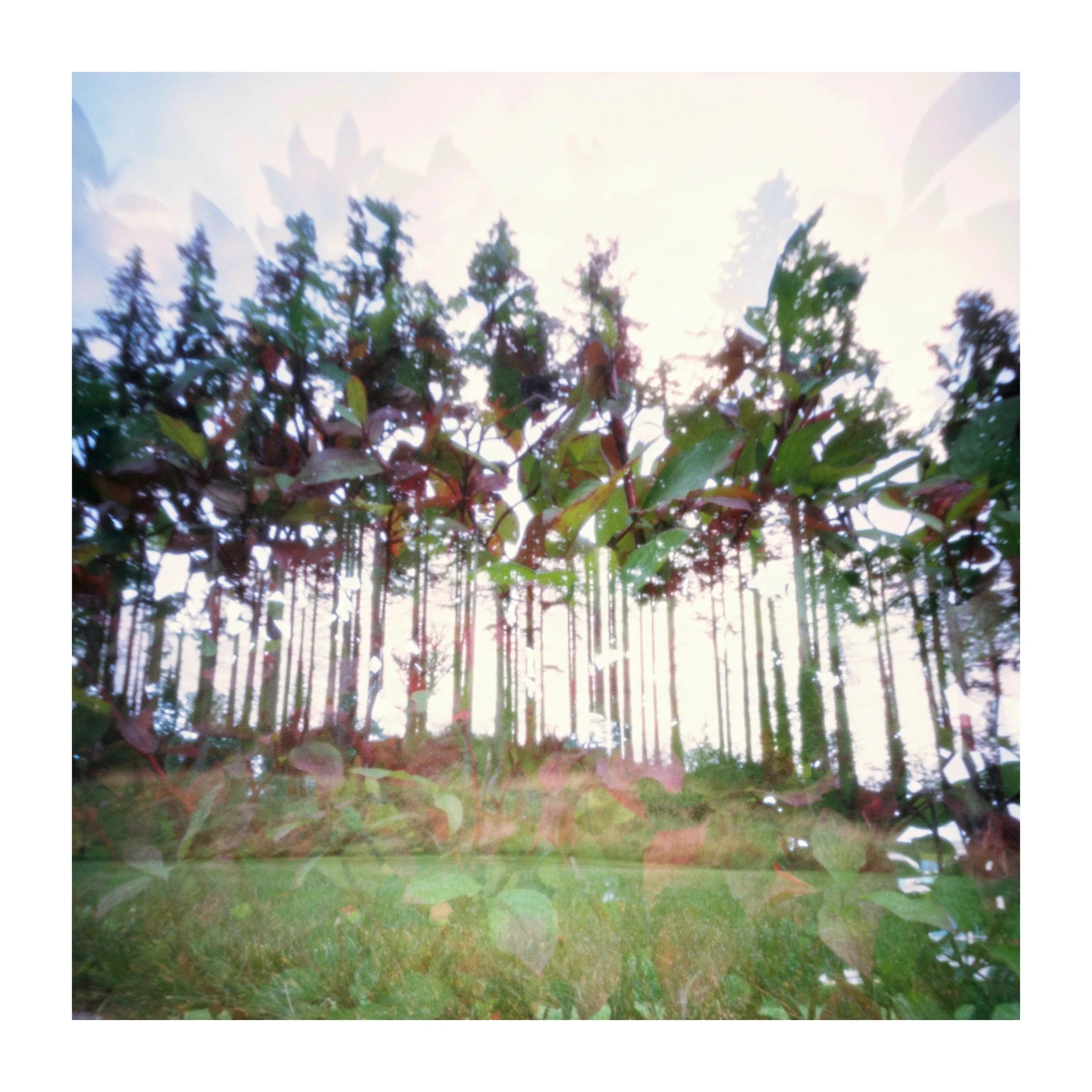 Natura Obscura by Barry Duggan - Unique Handcrafted Home Decor & Wall Art for Living Room, Bedroom, and Office