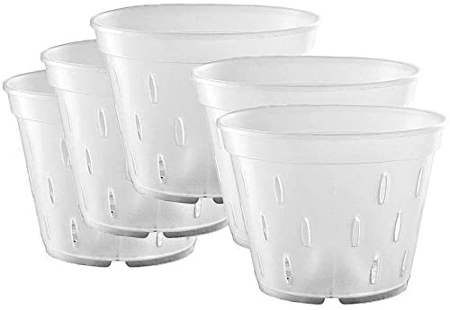 BebLP 5.5 Inch Clear Orchid Flower Pot with Stand and Saucer - Breathable Slotted Plastic Planter for Indoor/Outdoor Plants, Home Garden Decor, Perfect for Orchids, Succulents, Herbs and Houseplants