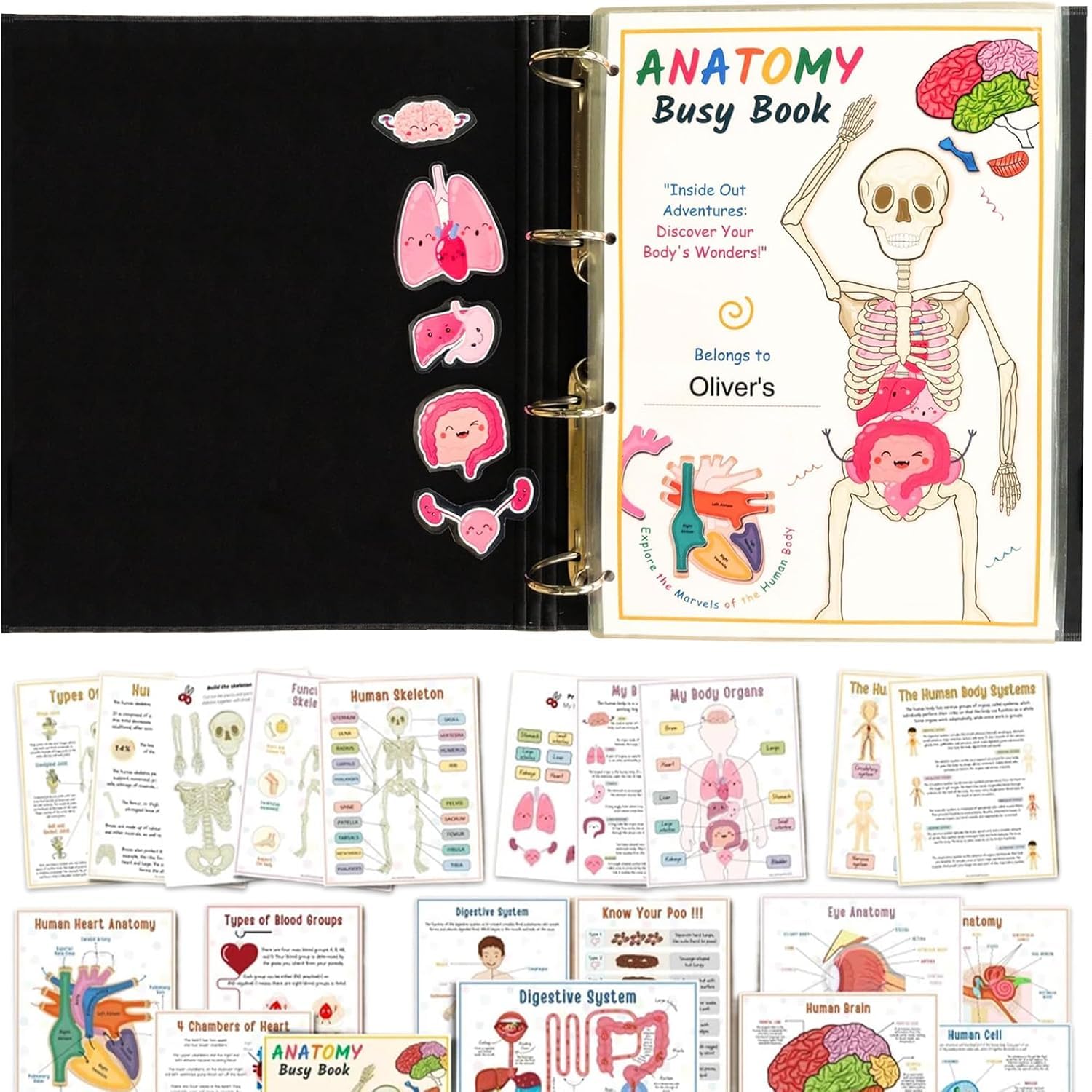Interactive Human Anatomy Busy Book for Kids - Preschool Learning Toy with Organ Matching Game | Discover Body Secrets | Perfect for Homeschool Science & Montessori Education