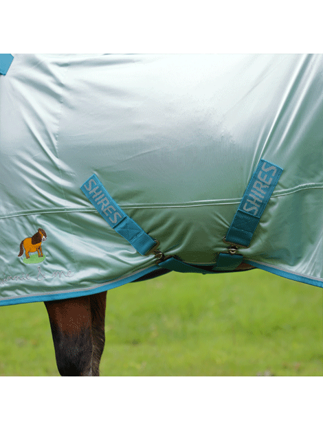 Shires Winnie and Me Fly Combo Rug - Lightweight Horse Fly Sheet with UV Protection - Perfect for Summer Riding, Trail Adventures, and Pasture Turnout