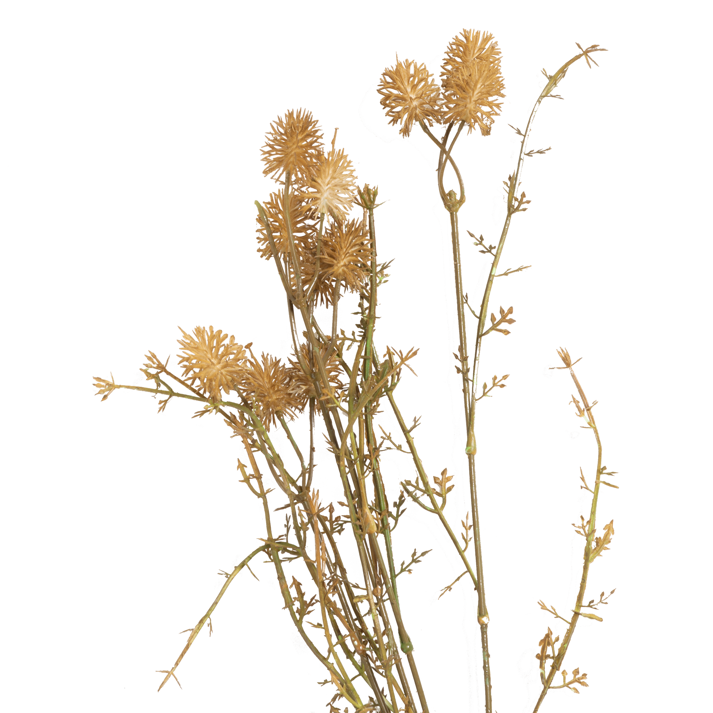 Premium Meadow Pom Pom Stems for DIY Floral Arrangements - Perfect for Wedding Bouquets, Home Decor & Craft Projects