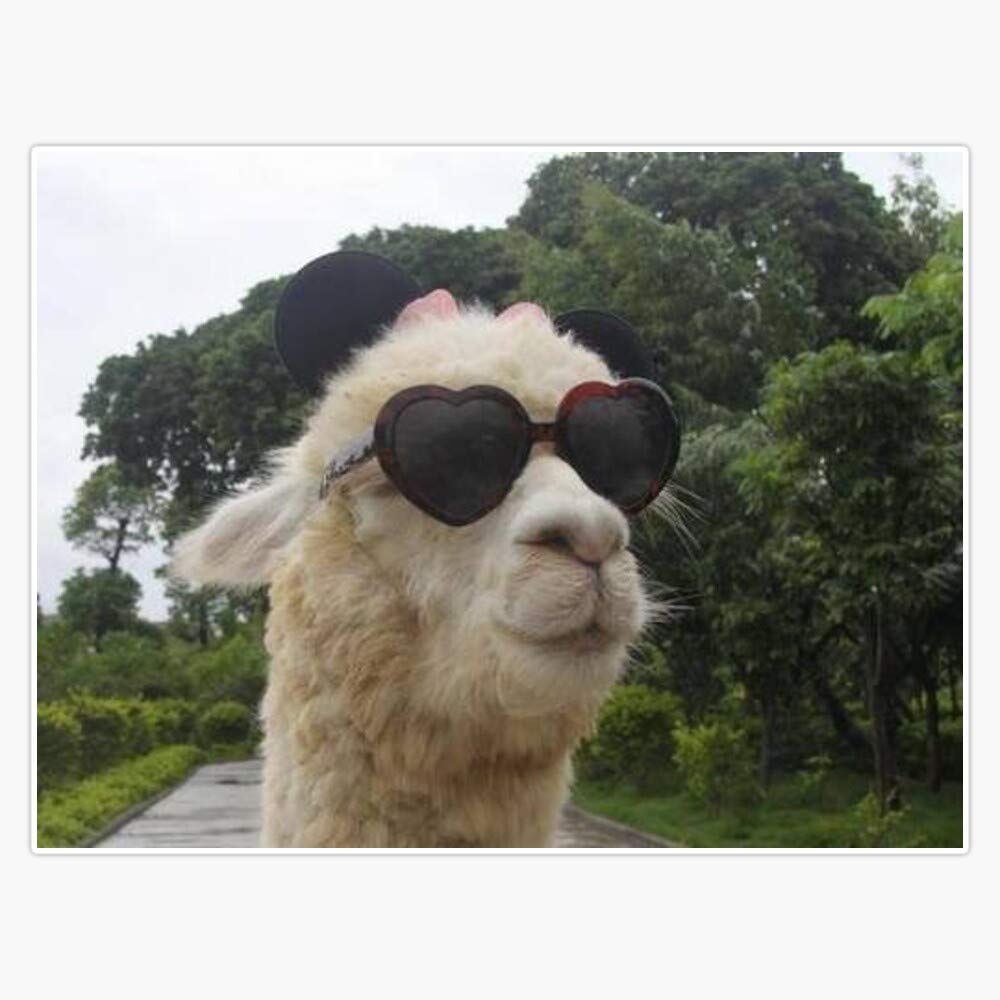 Waterproof Alpaca Vinyl Sticker 5