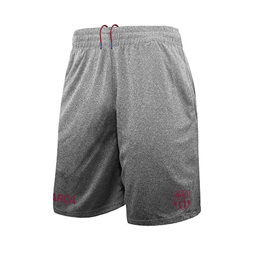 Fc Barcelona Grey/Burgundy