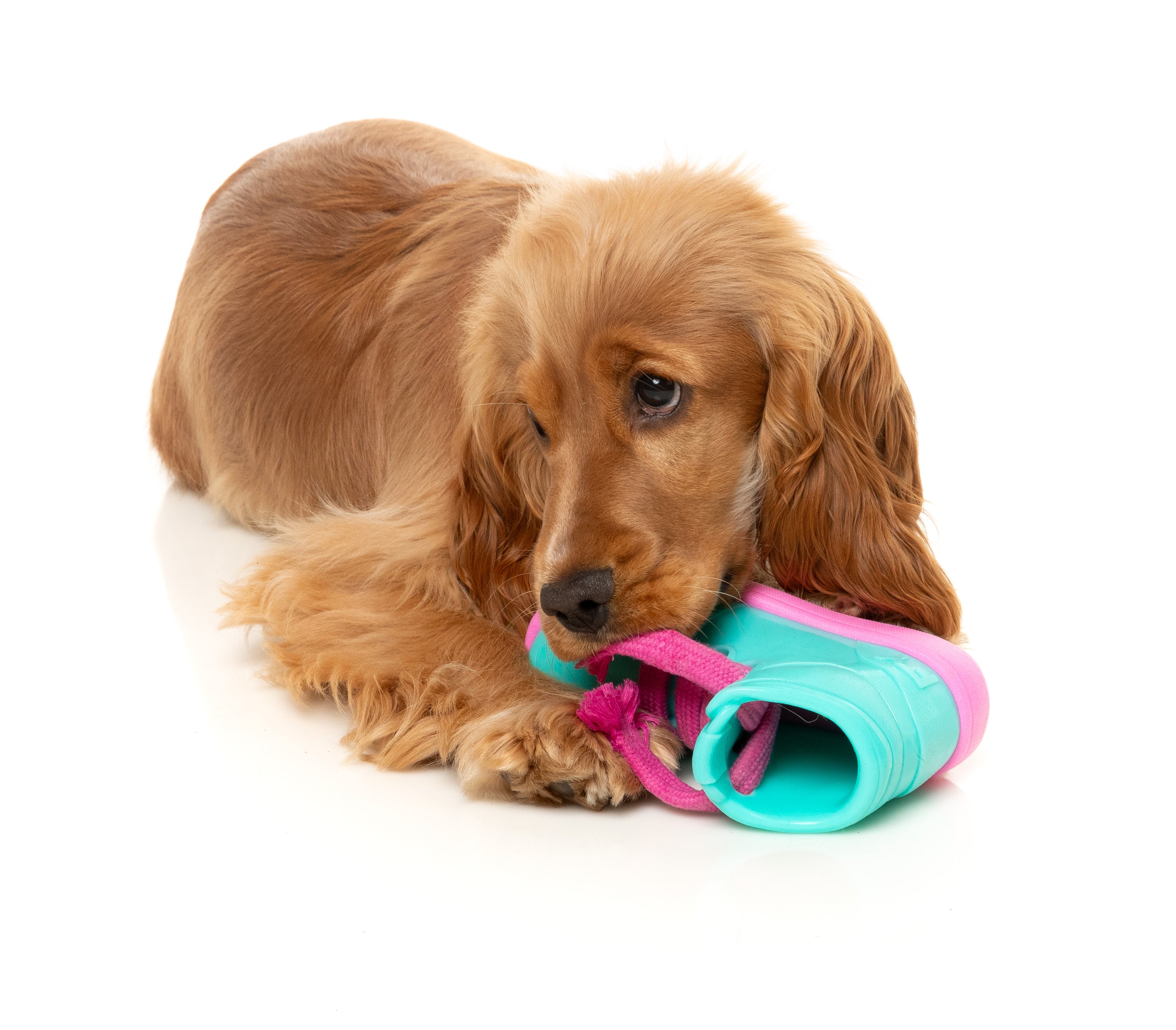 Fuzzyard Interactive Treat Dispensing Dog Chew Toy - Fun Puzzle Game for Dogs with Fresh Kicks N' Licks Flavor - Perfect for Boredom Relief & Dental Health