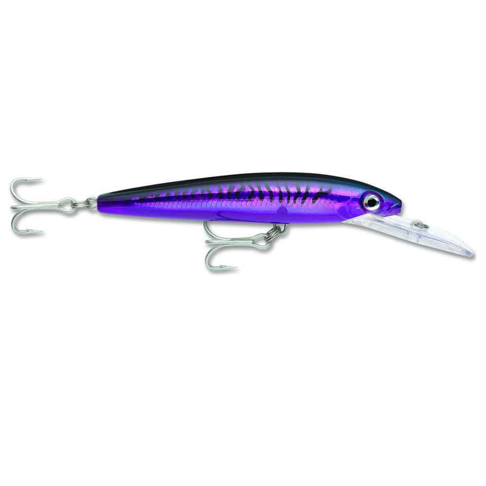 PURPLE MACKEREL