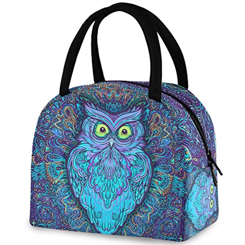 Owl