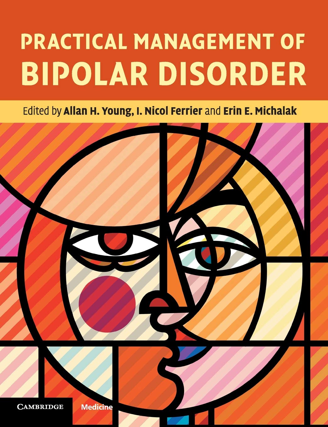 Bipolar Disorder Management Guide - Effective Strategies & Tips for Daily Life | Coping with Mood Swings at Home & Work