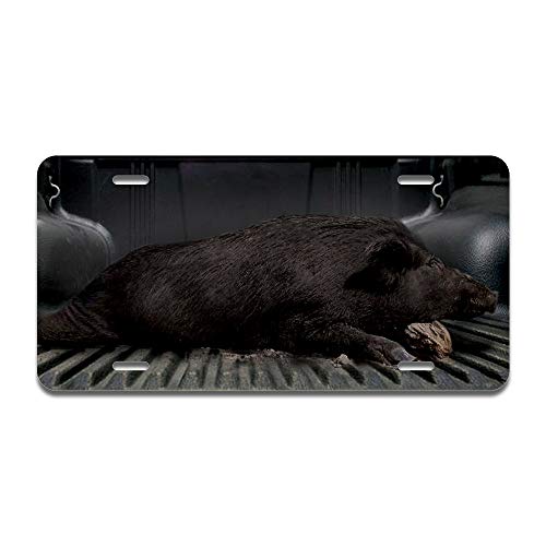 Dead Boar