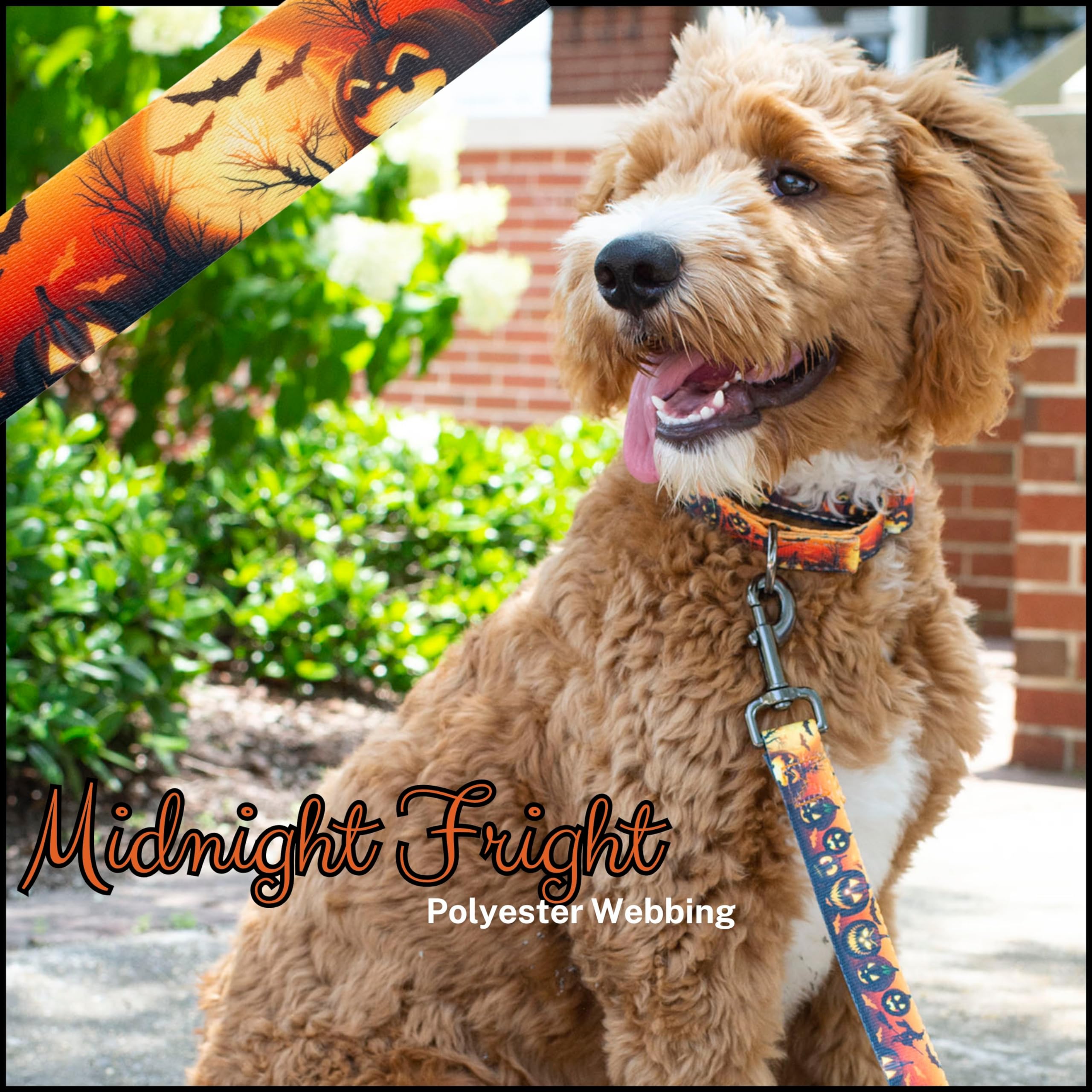 Country Brook Design - Midnight Fright Polyester Webbing for Halloween Decorations, DIY Costume Accessories & Craft Projects | Durable & Spooky Decorative Trim
