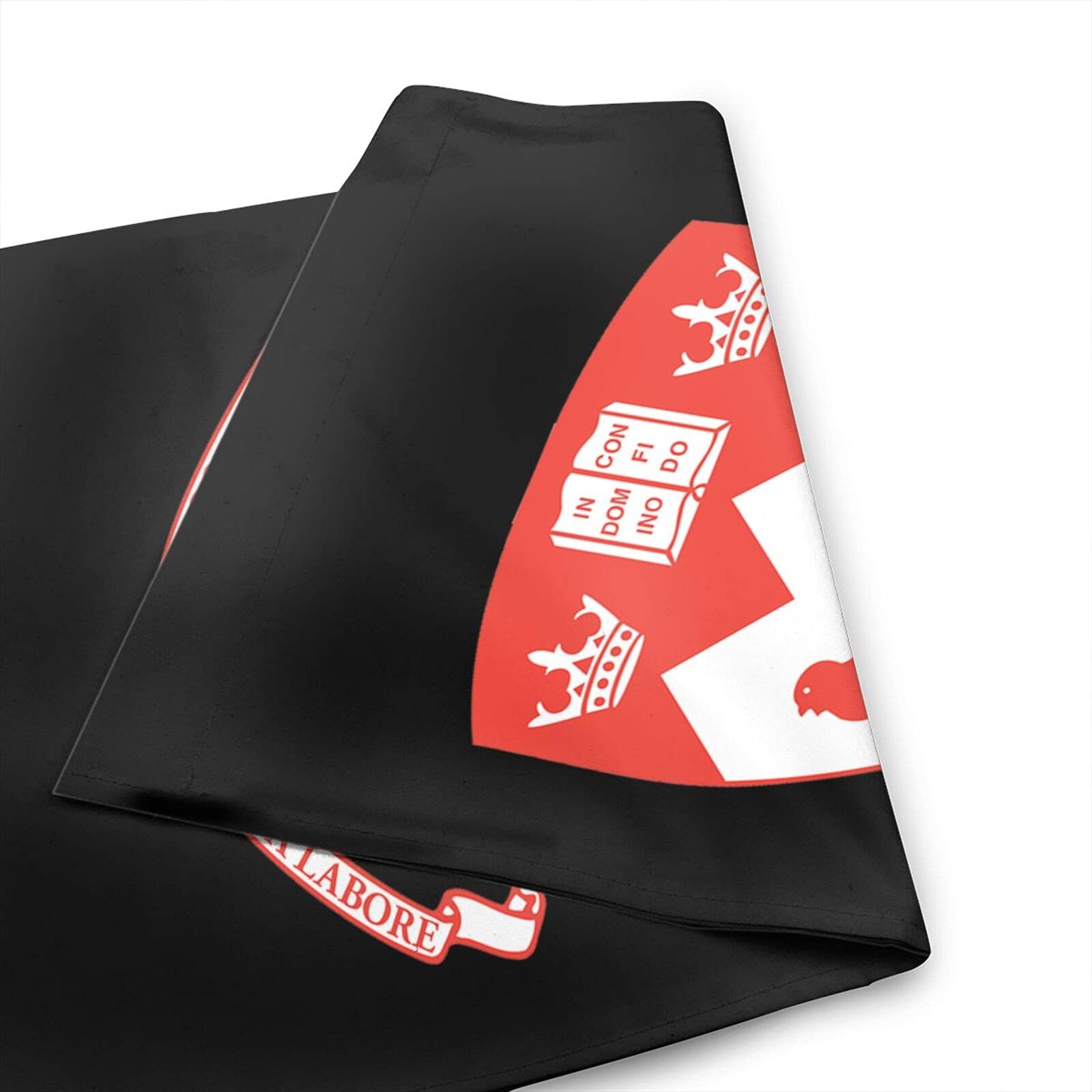 Voglawear McGill University Garden Flag - Double Sided Outdoor Bunting for Home, Yard & Campus Decor - Perfect for School Spirit, Alumni Pride & Seasonal Celebrations