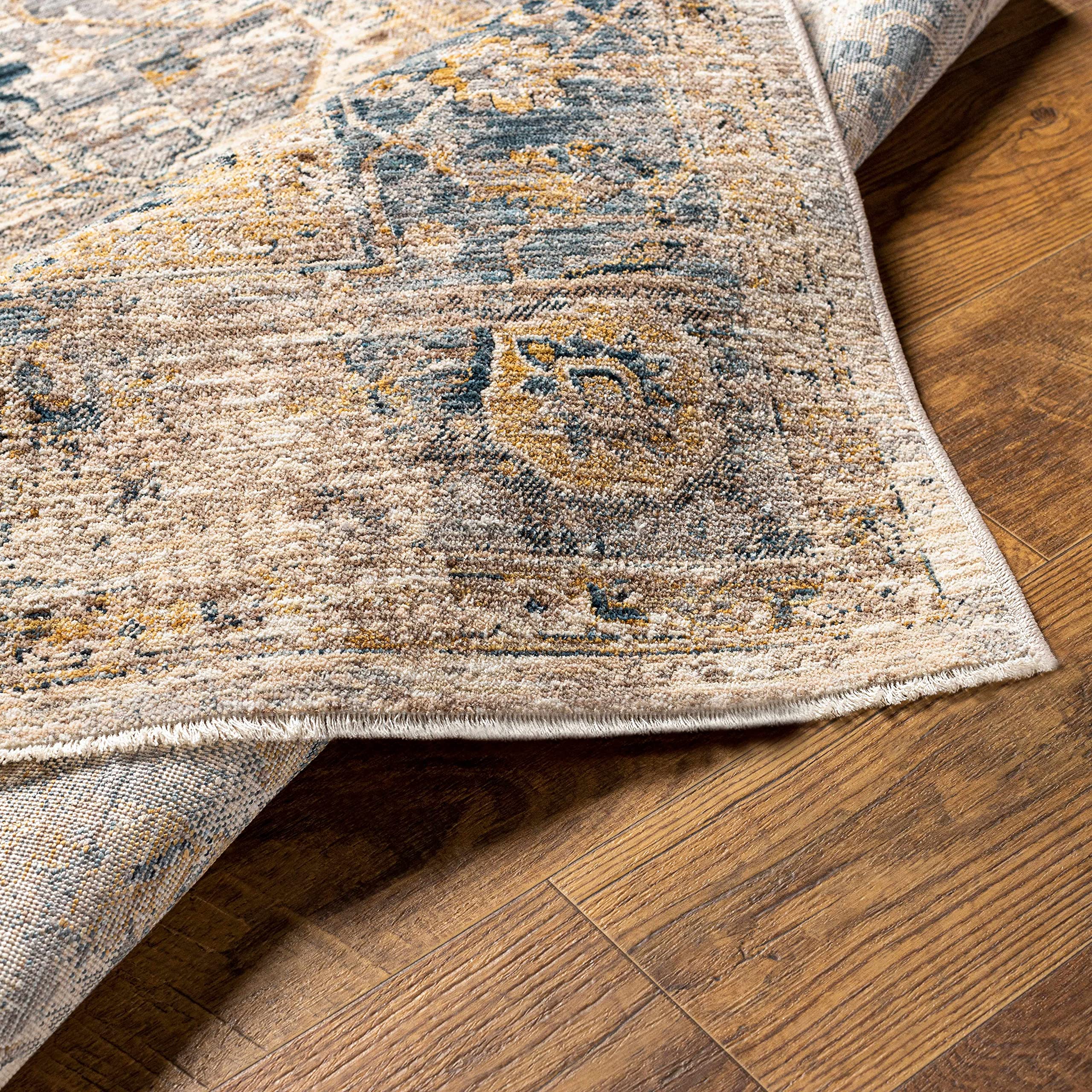 Hauteloom Chuka Traditional Beige and Blue Area Rug 5' x 7'5