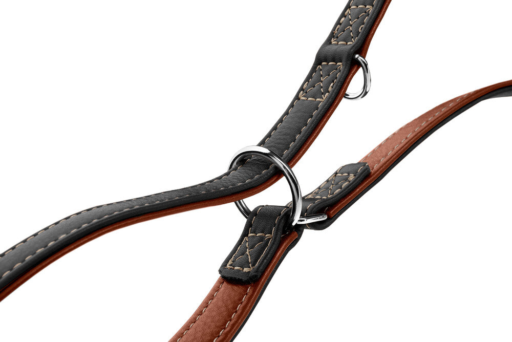 HUNTER UP Adjustable Dog Training Leash - Flat Design for Canadian Pets - Perfect for Obedience Training, Walking & Outdoor Adventures