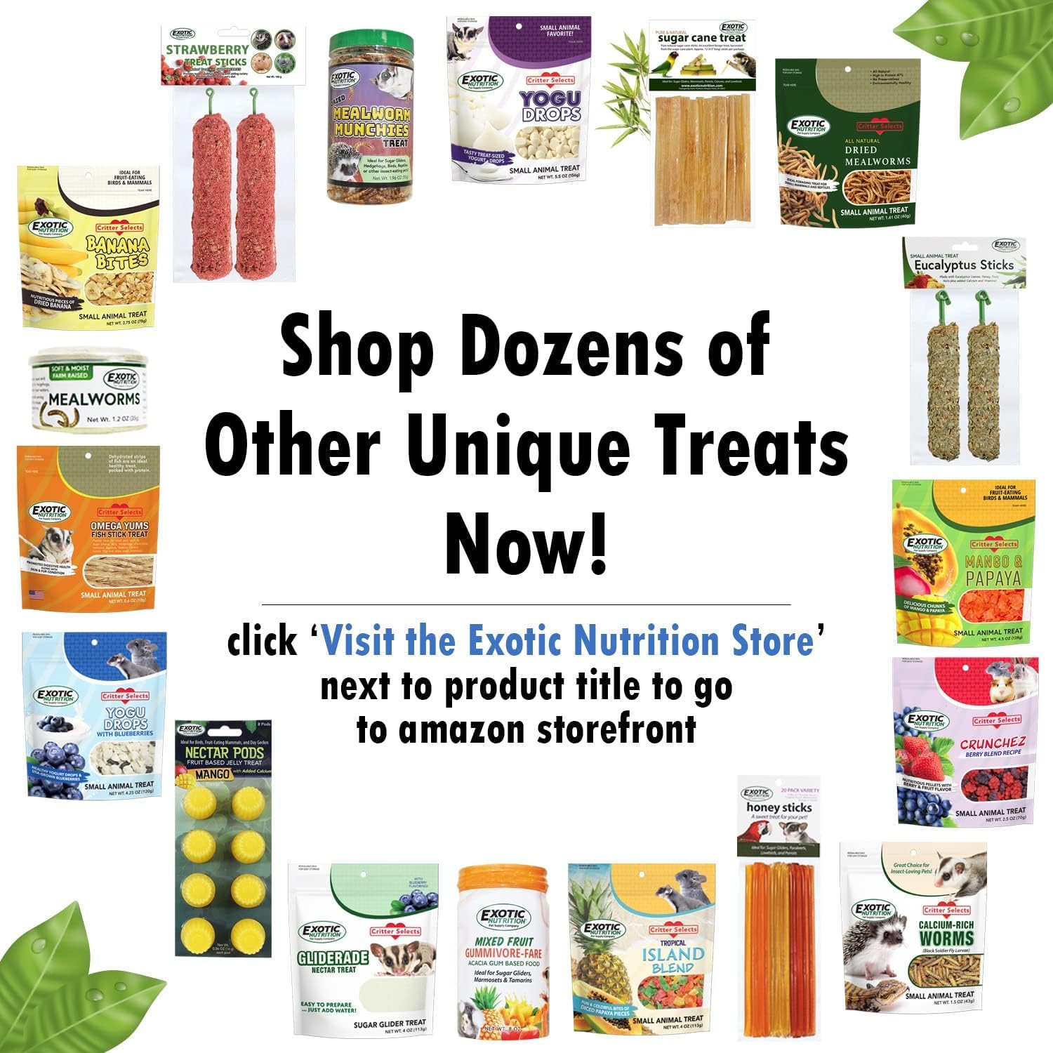 Exotic Nutrition Beneficial Blocks (20 oz) - Healthy Squirrel Food with Nuts & Seeds - Premium Supplemental Diet for Wild & Pet Squirrels - Perfect for Backyard Feeding & Wildlife Nutrition