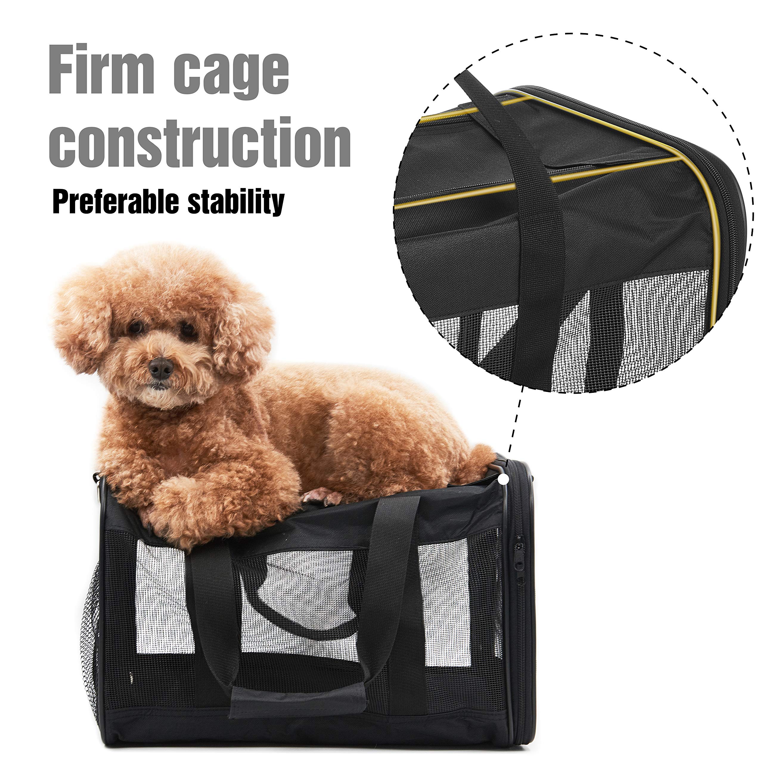 Soft-Sided Collapsible Pet Travel Carrier for Cats & Small Dogs - Airline Approved, Durable & Portable (Medium, Up to 17 lbs) - Perfect for Air Travel, Road Trips & Vet Visits