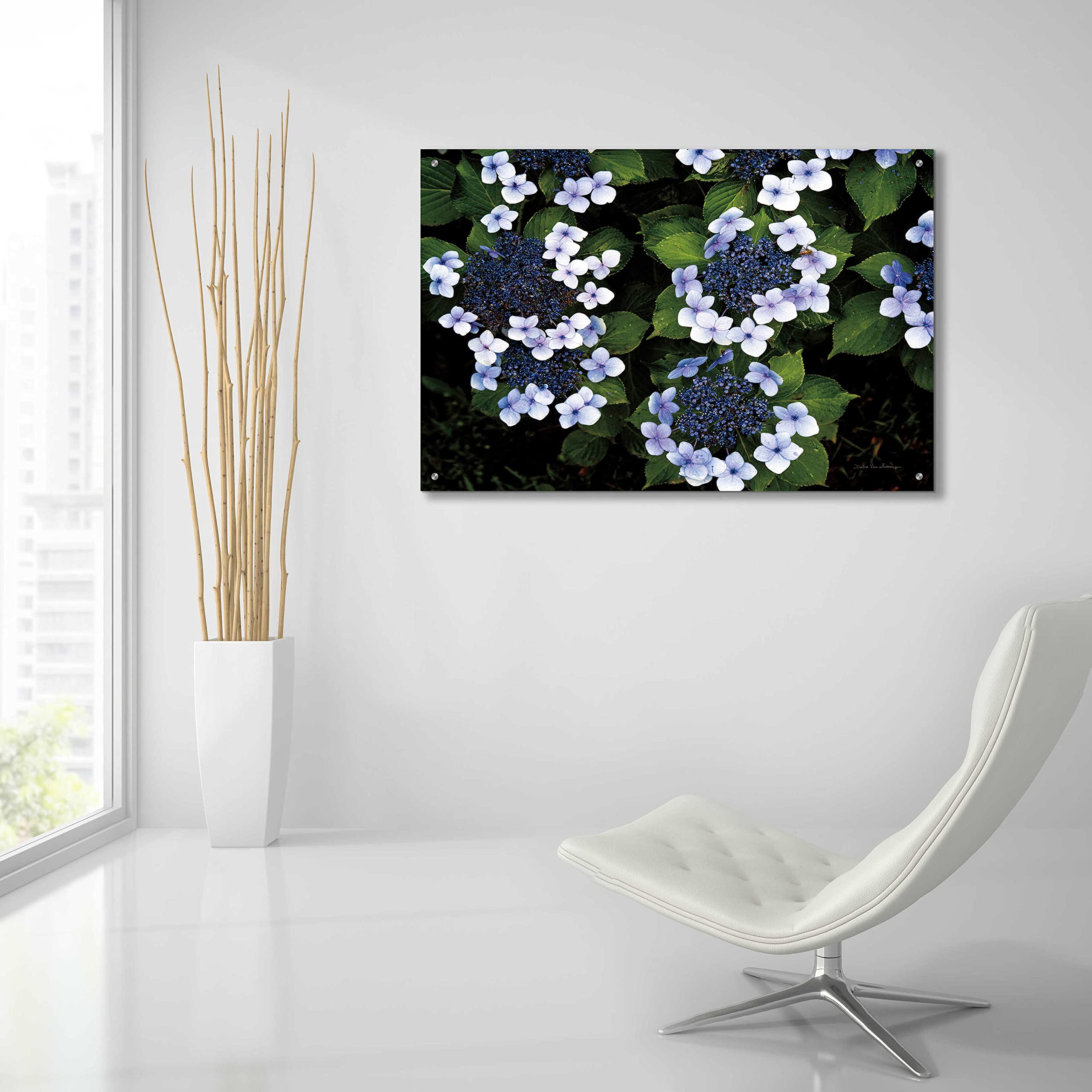 Debra Van Swearingen 'Hydrangeas Opening' Acrylic Glass Wall Art - 36x24 Inches Floral Painting for Living Room, Bedroom & Office Decor