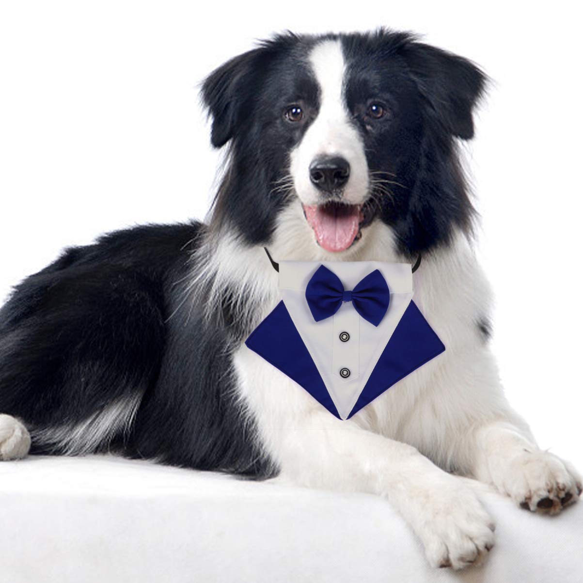 POPETPOP Pet Bow Tie & Tuxedo Collar Set - Dog Wedding Costume Accessory