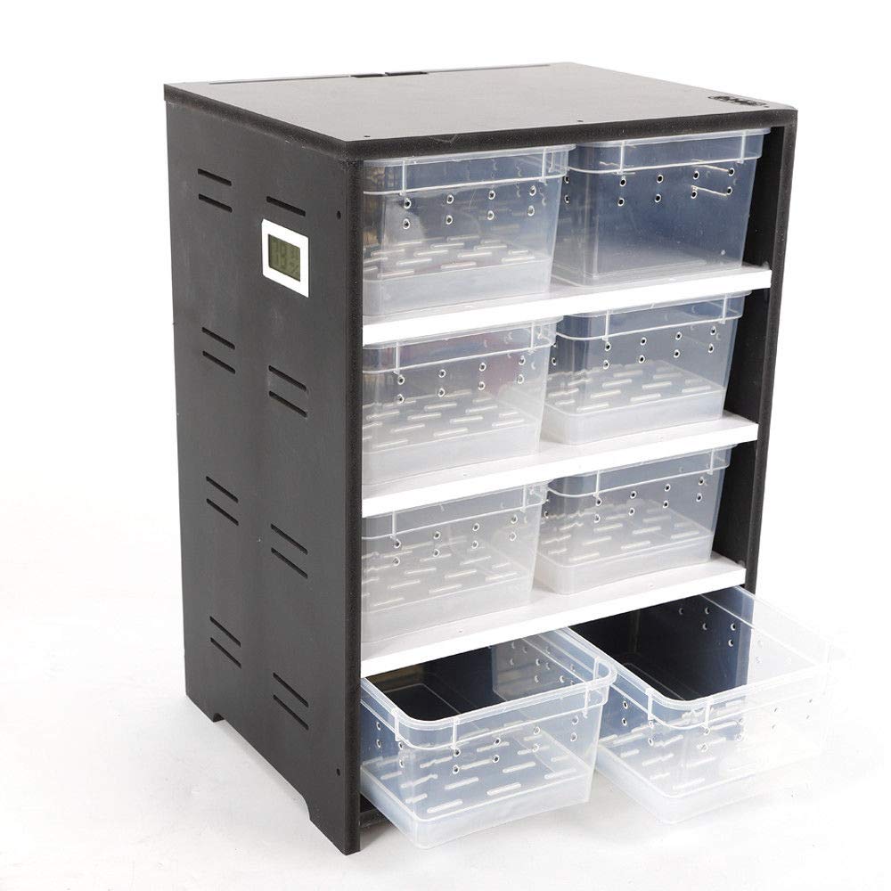Acrylic Reptile Feeding Box - Heat Resistant Breeding Tank for Lizards, Turtles, Spiders & Insects | Ideal for Pet Habitat & Terrarium Setup