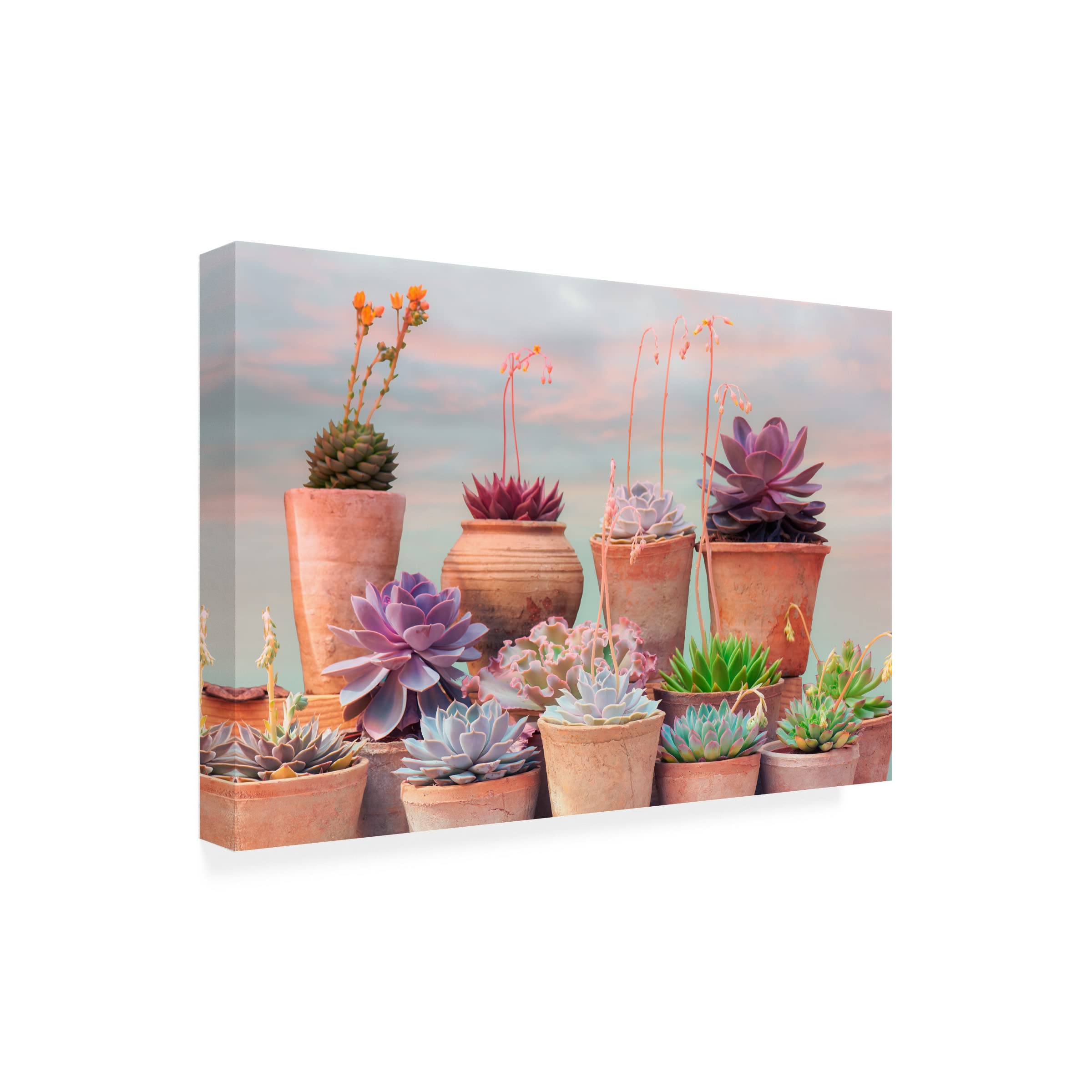 Trademark Fine Art 'Succulent Window III' Canvas Wall Art by Cora Niele - Botanical Home Decor for Living Room, Bedroom & Office