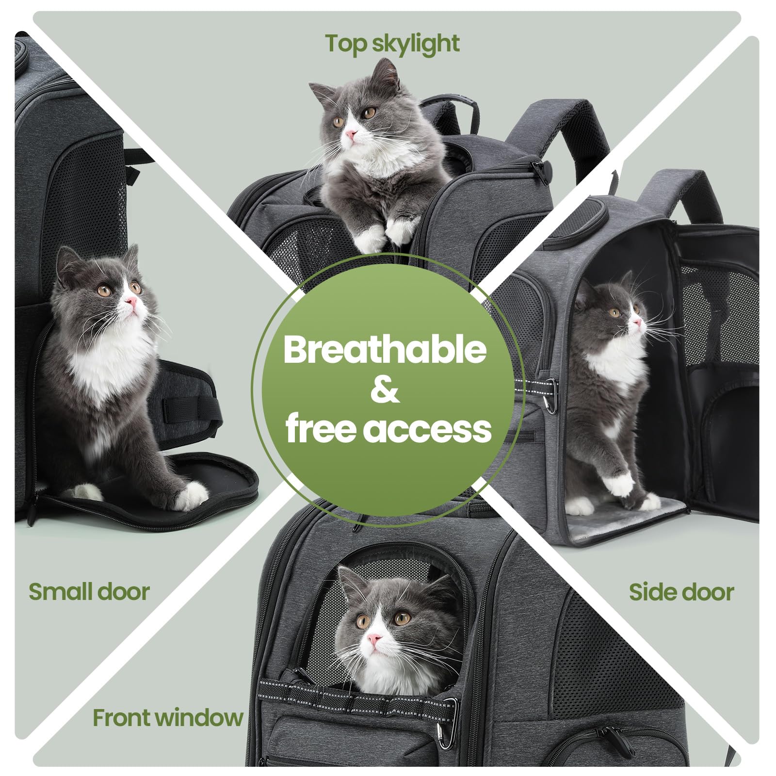 Pecute Foldable Cat Backpack Carrier - Lightweight & Ergonomic Pet Travel Backpack for Small Dogs & Cats - Perfect for Hiking, Vet Visits & Outdoor Adventures