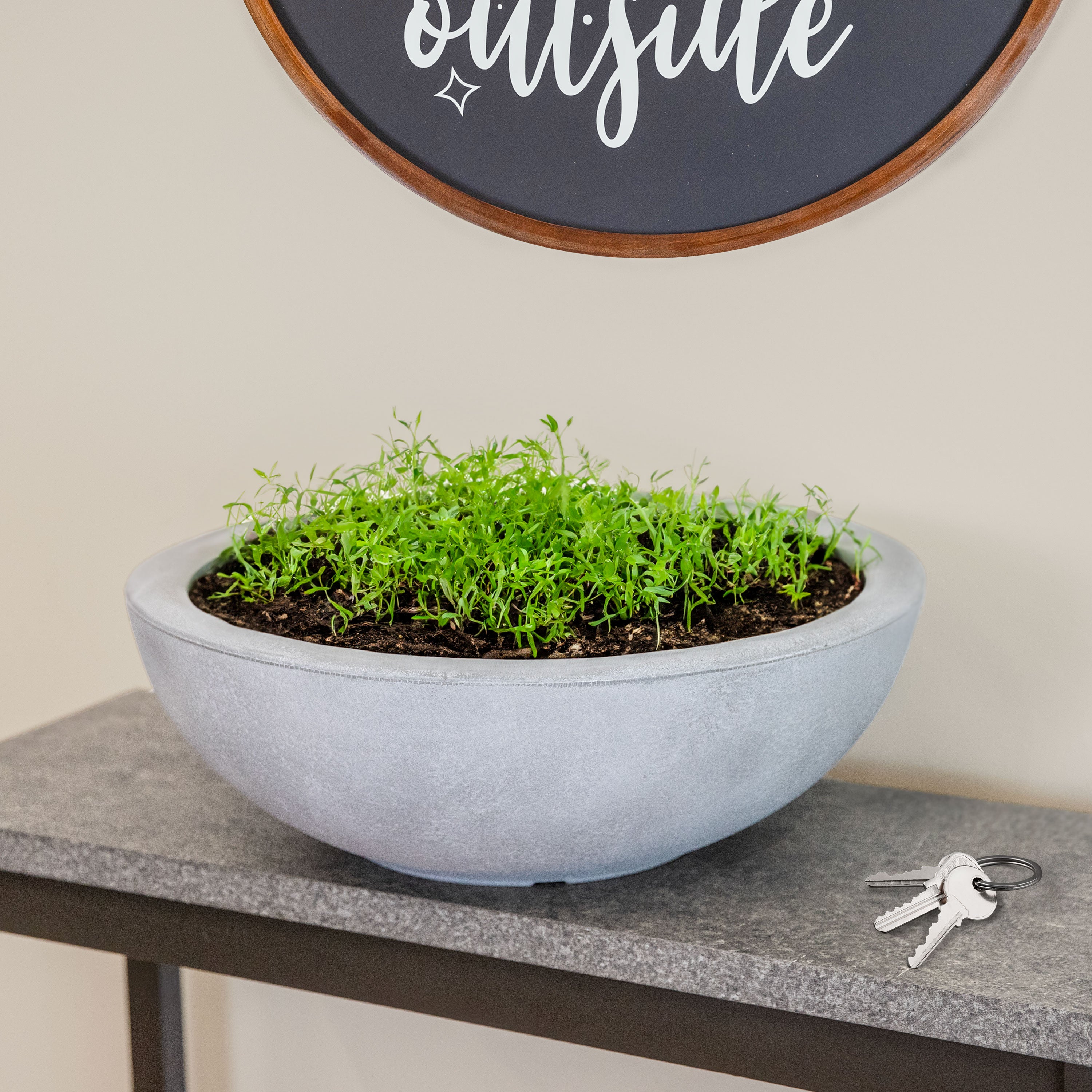 20.75 Inch Sunnydaze Percival Polyresin Outdoor Planter Bowl - Durable Garden Decor for Patio, Porch & Backyard Landscaping