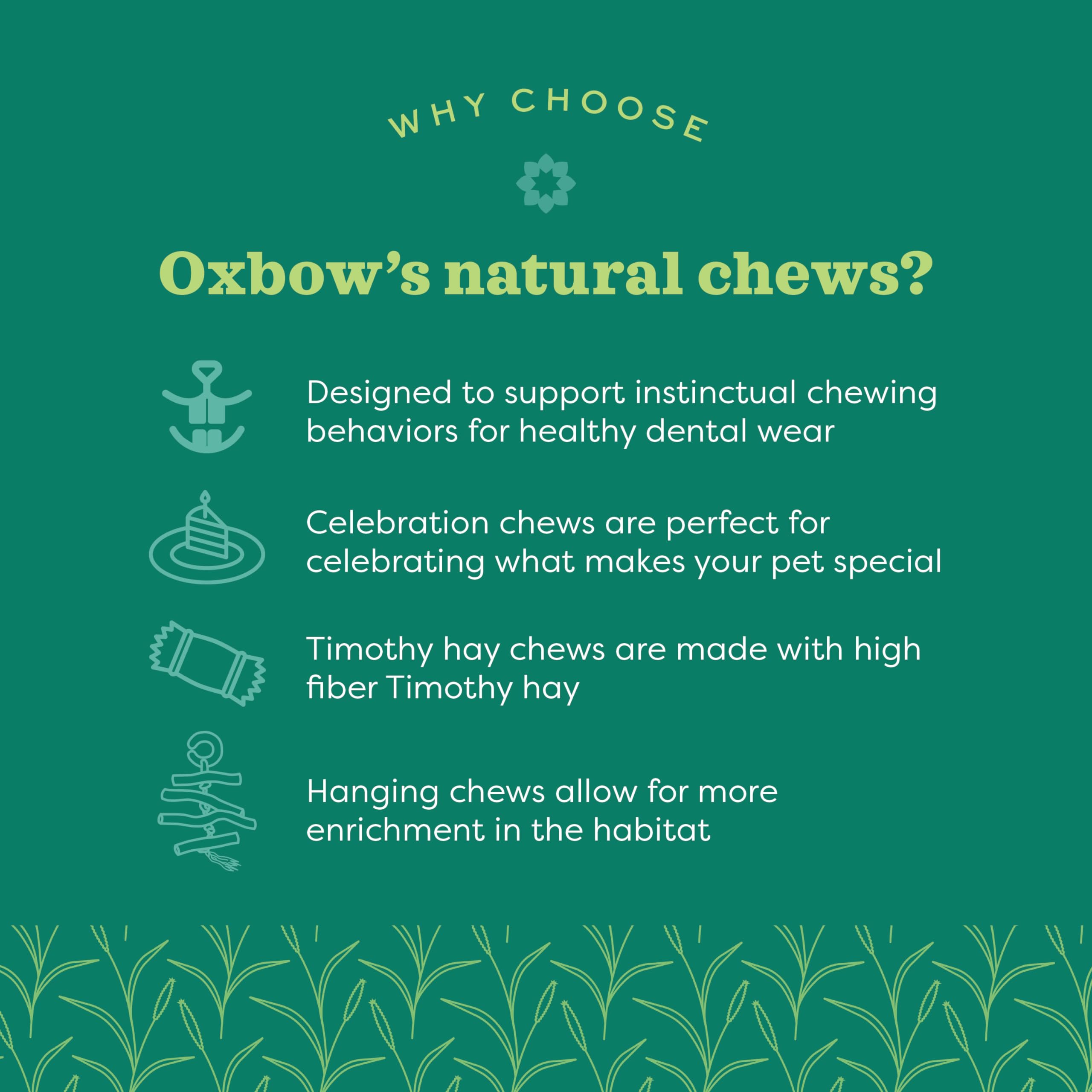 Oxbow Enriched Life Birthday Party Pack - Fun Rabbit Toys & Guinea Pig Toys for Small Pets - Bunny, Hamster, Chinchilla & Rat Cage Accessories - Perfect for Playtime, Enrichment & Special Occasions