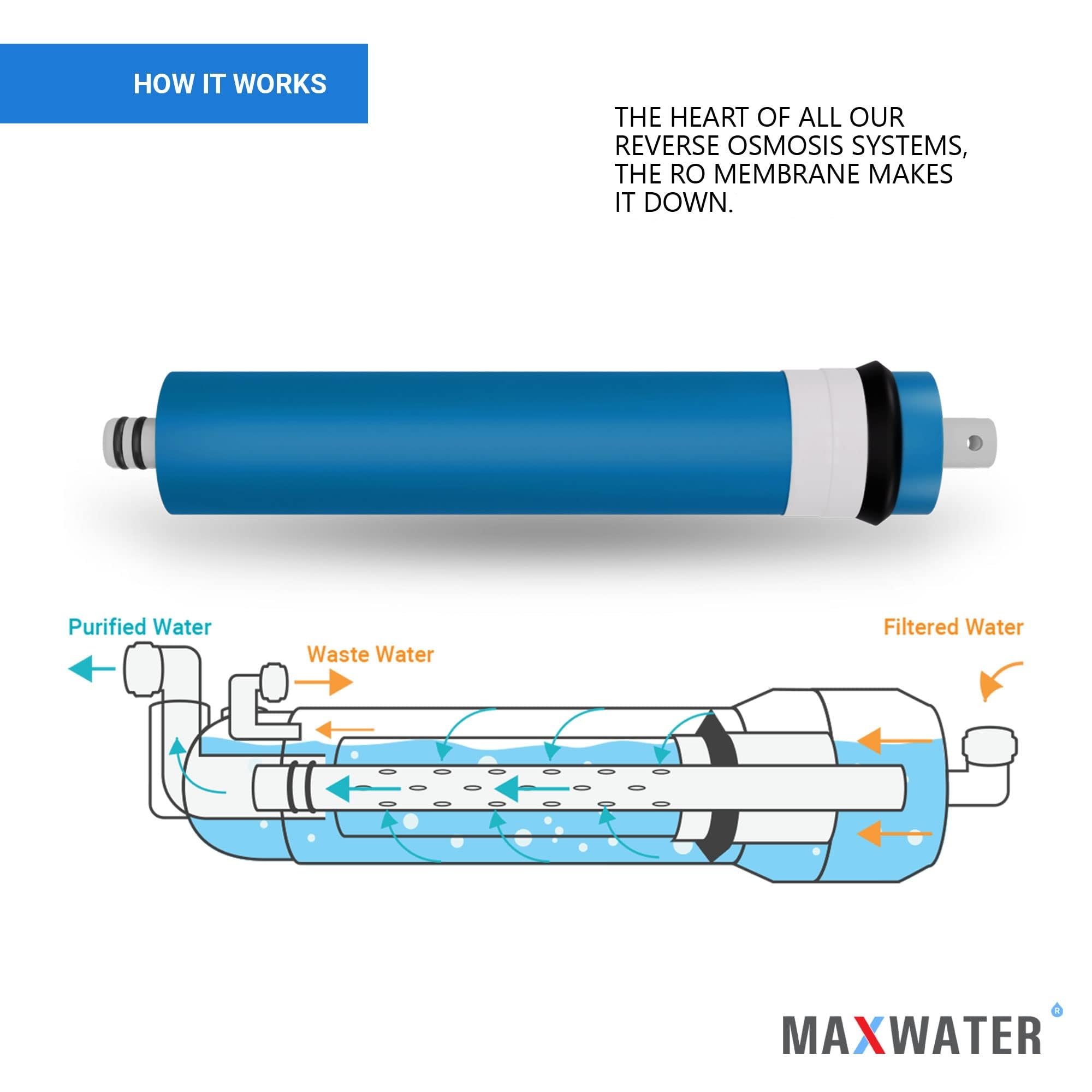 Max Water 150 GPD Reverse Osmosis Membrane Replacement - High Flow RO Water Filter for Under Sink Purification Systems | Perfect for Home, Office, and RV Drinking Water Filtration