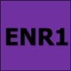 ENR1 Purple | 2600 lbs Vertical