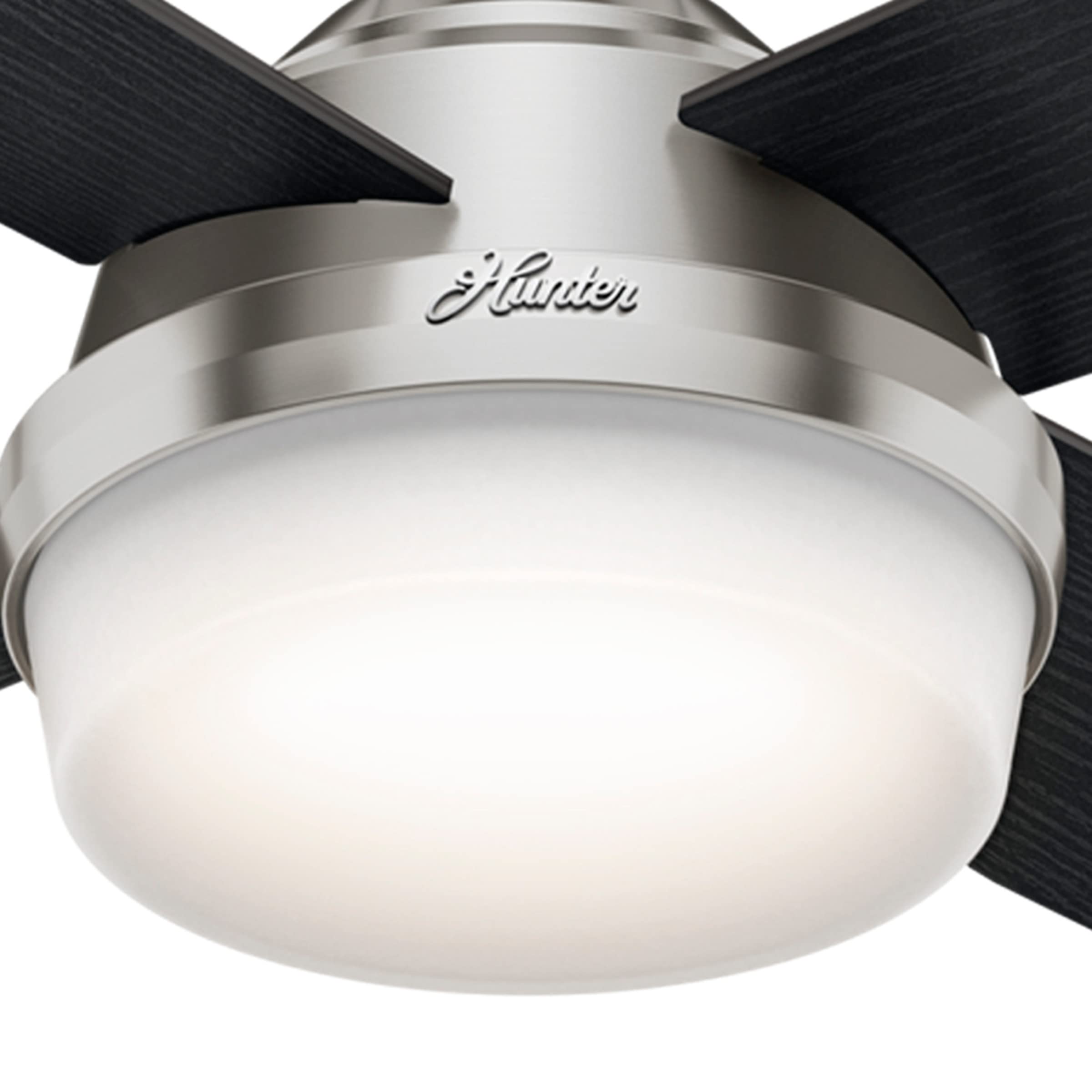 Hunter Fan Company 59216 Dempsey 52