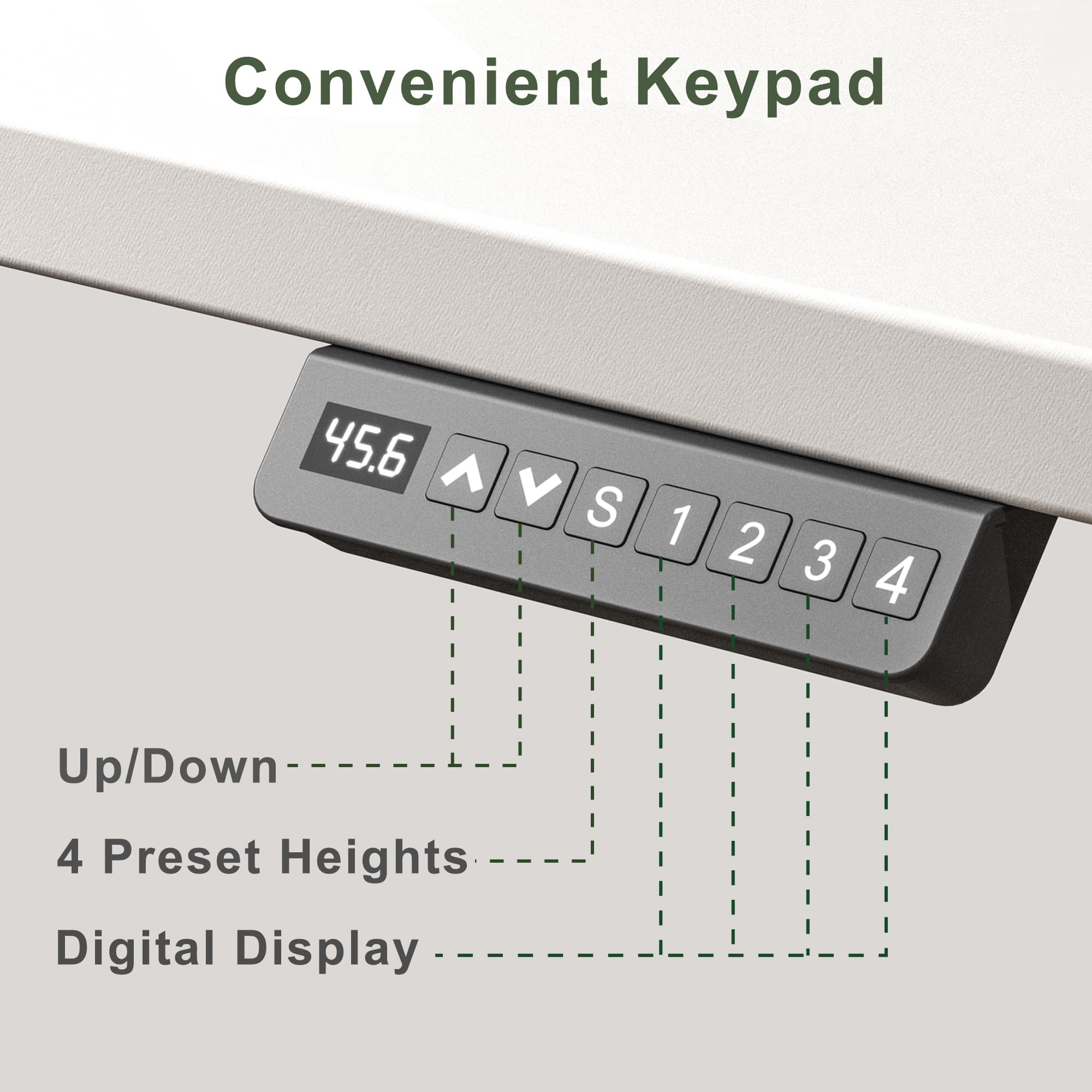 48x24 Inches Electric Standing Desk - Seamless One-Piece Height Adjustable Desk for Home Office | Ergonomic Sit to Stand Computer Workstation (White) - Perfect for Remote Work, Gaming & Study Spaces