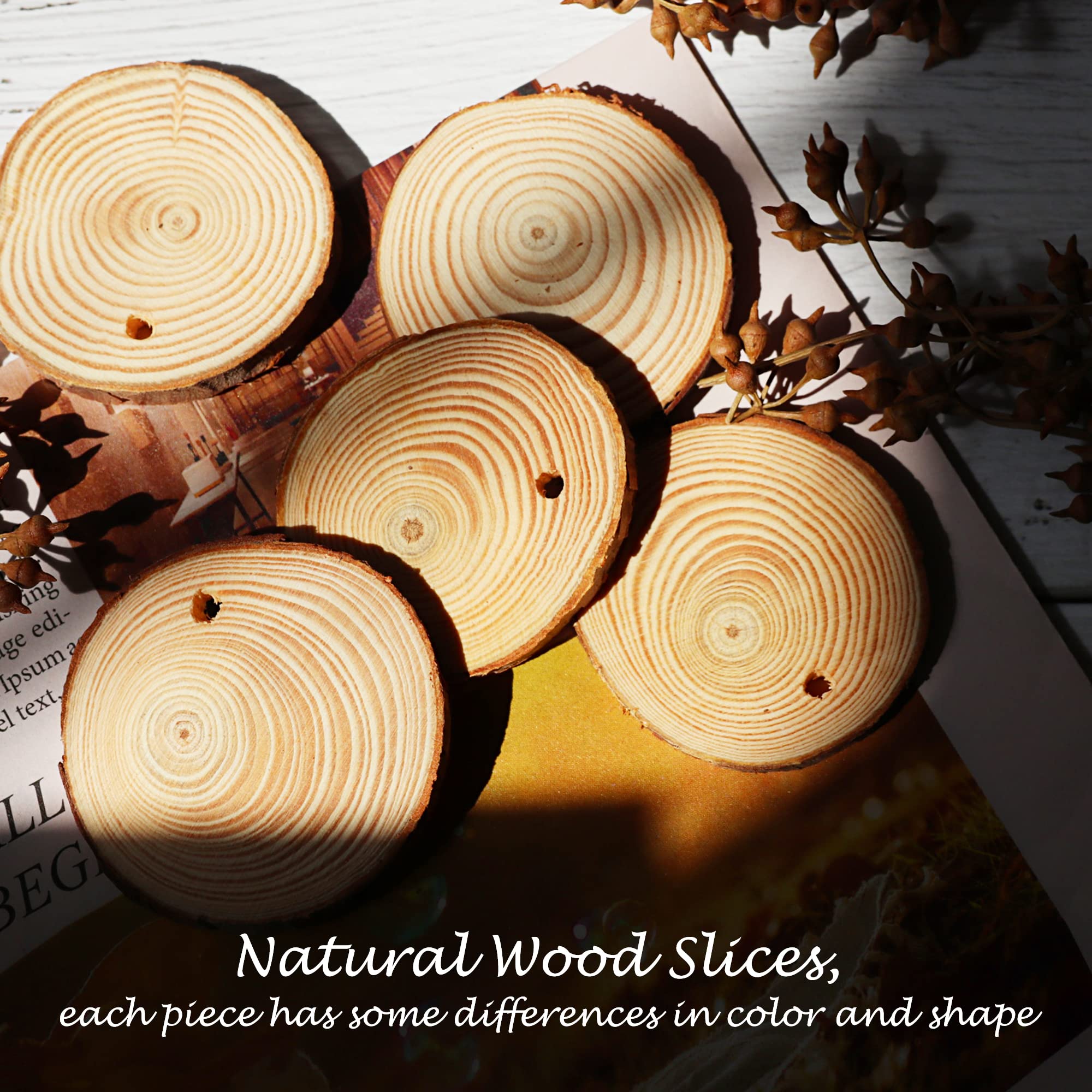 25 Pack Wooden Plant Labels with Marker Pen - Waterproof Garden Markers Stakes for Flowers, Herbs, Potted Plants & Seedlings - Perfect for Indoor/Outdoor Gardening & Greenhouse Organization
