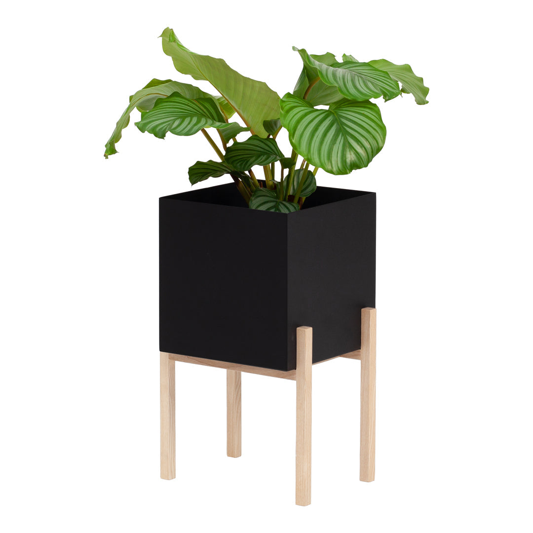 Botanic Pedestal Pot - Elegant Indoor Plant Stand for Home Decor, Living Room, Office & Garden - Perfect for Succulents, Flowers & Houseplants