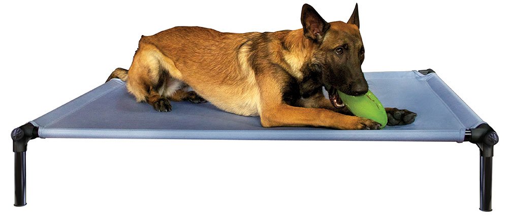 Starmark Dog Zone Bed - Premium Orthopedic Pet Bed for Large & Small Dogs - Comfortable & Durable Dog Bed for Indoor & Outdoor Use - Perfect for Kennels, Crates, and Home Lounging