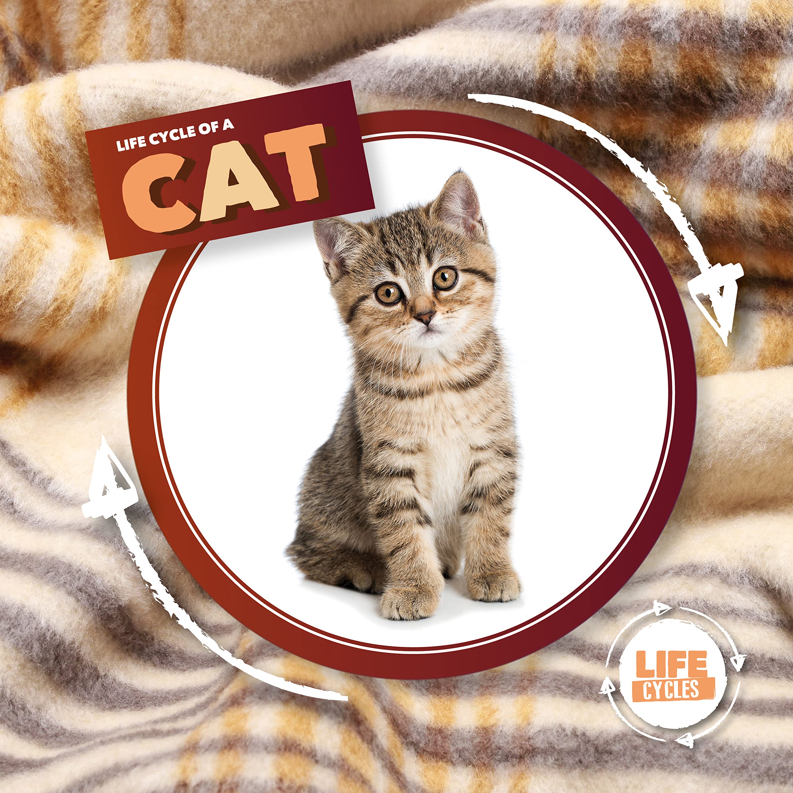 Life Cycle of a Cat - From Kitten to Adult Cat Growth Stages & Development | Perfect for Kids Learning, Homeschool Science, and Animal Lovers