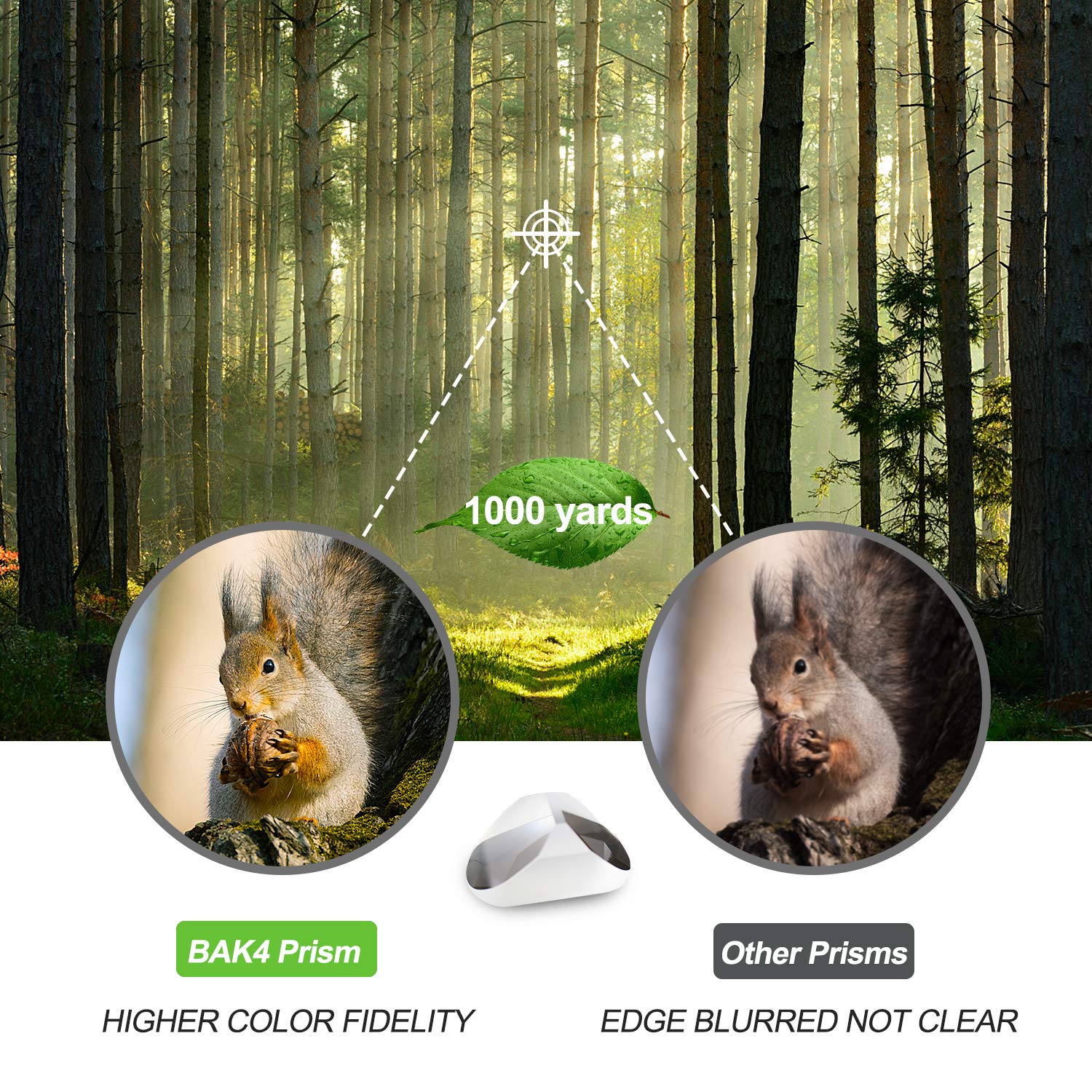 10x50 Binoculars for Adults - High Power Binoculars with Multi-Coated Optics for Bird Watching, Hunting, Travel & Outdoor Activities | Durable Full-Size Binoculars for Sightseeing, Sports Games, Concerts & Stargazing