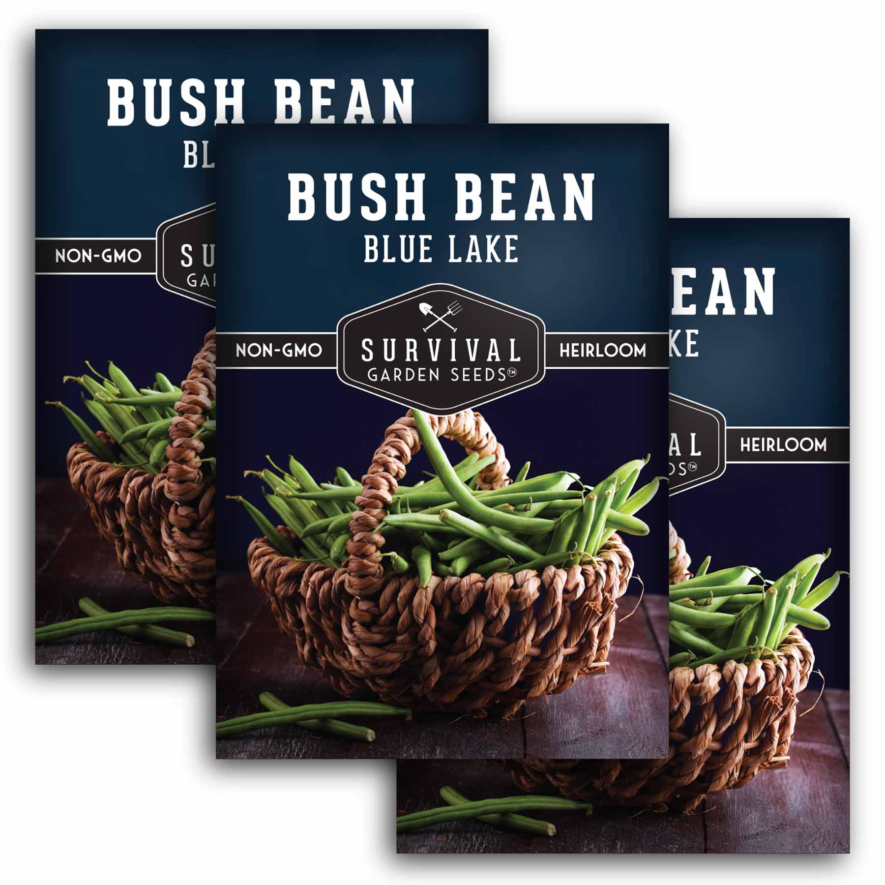 Blue Lake Bush Bean Seeds - Non-GMO, Heirloom, Compact Bush Beans for Home Gardening | Grow Fresh Green Beans for Salads, Soups, and Healthy Snacks