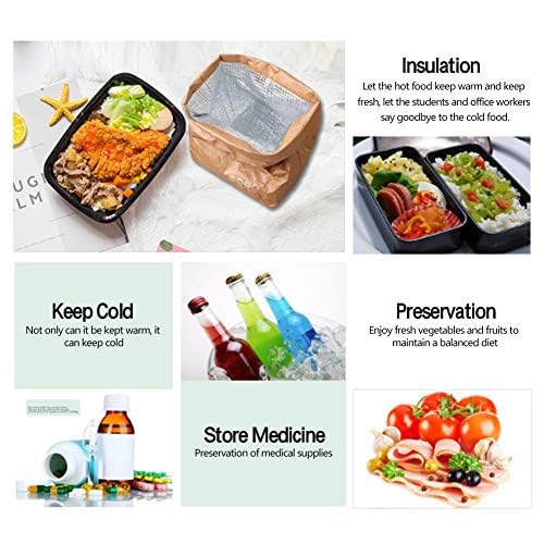 Waterproof Insulated Lunch Box for Women & Men - Eco-Friendly Kraft Paper Lunch Bag for Office, School & Outdoor Picnic (Brown) | Perfect for Work, Hiking & Travel