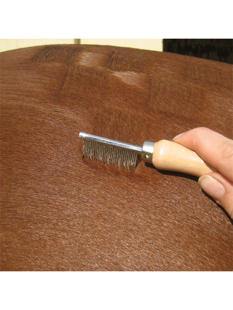 Professional Smart Grooming Quarter Marking Comb for Horses - Perfect for Show Preparation & Equine Styling | Durable Horse Grooming Tool for Show Ring & Competition