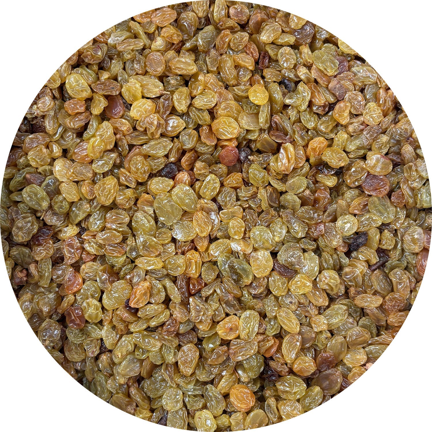 Jack's California Golden Raisins - 30lb Bulk Case | Premium Dried Fruit for Baking, Snacking & Healthy Recipes