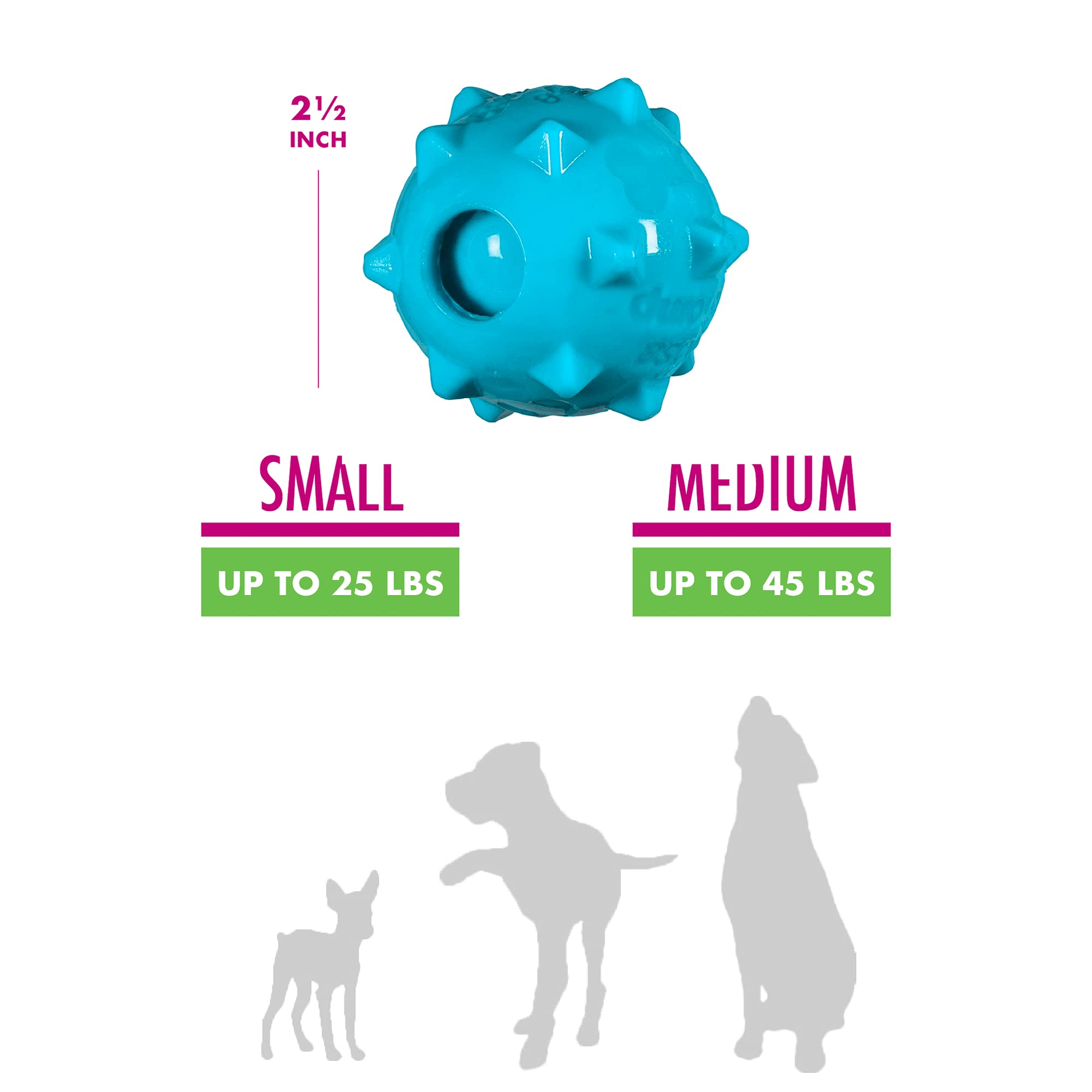 Chase 'n Chomp Squeaker Ball Dog Toy - 2.5
