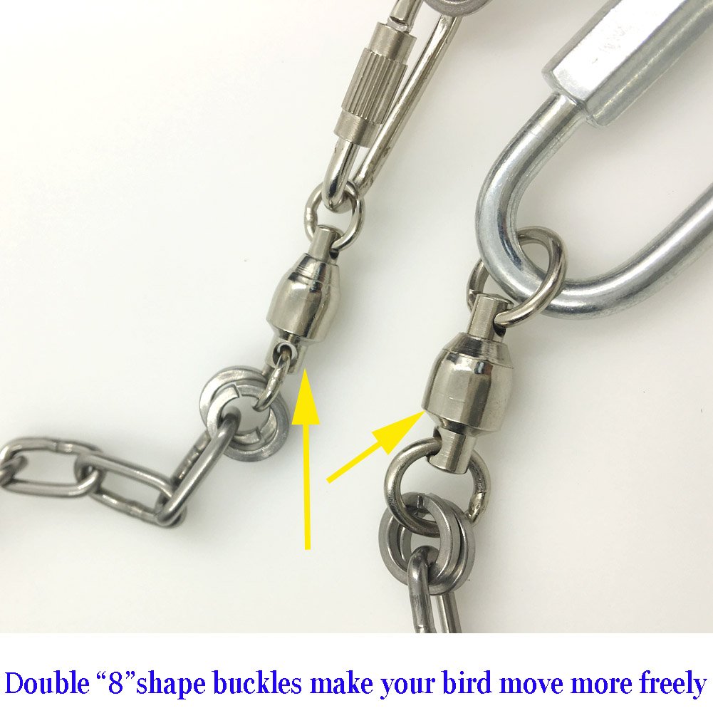 Stainless Steel 304 Parrot Leash & Foot Chain - 14.5mm Anklet Ring for Pet Birds (Model 15) | Safe & Durable for Outdoor Walks & Training