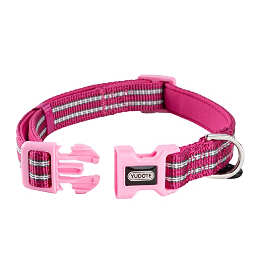 Collar-Hot Pink