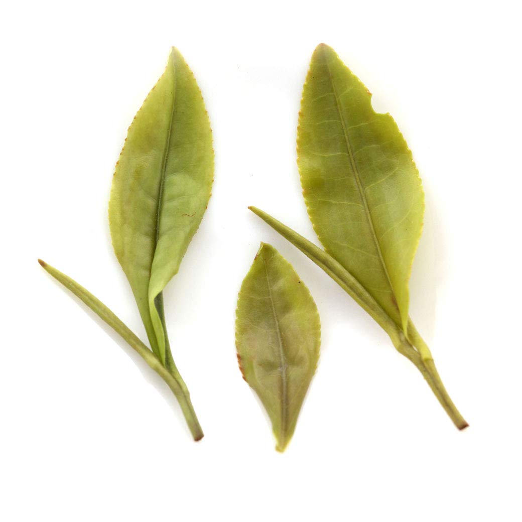 Premium Huangshan Maofeng Green Tea Loose Leaf - 2 Pack (250g/8.8oz Each) - High Mountain Spring Tea from China - Organic Green Tea Bags for Daily Brewing, Office Refreshment & Relaxation at Home