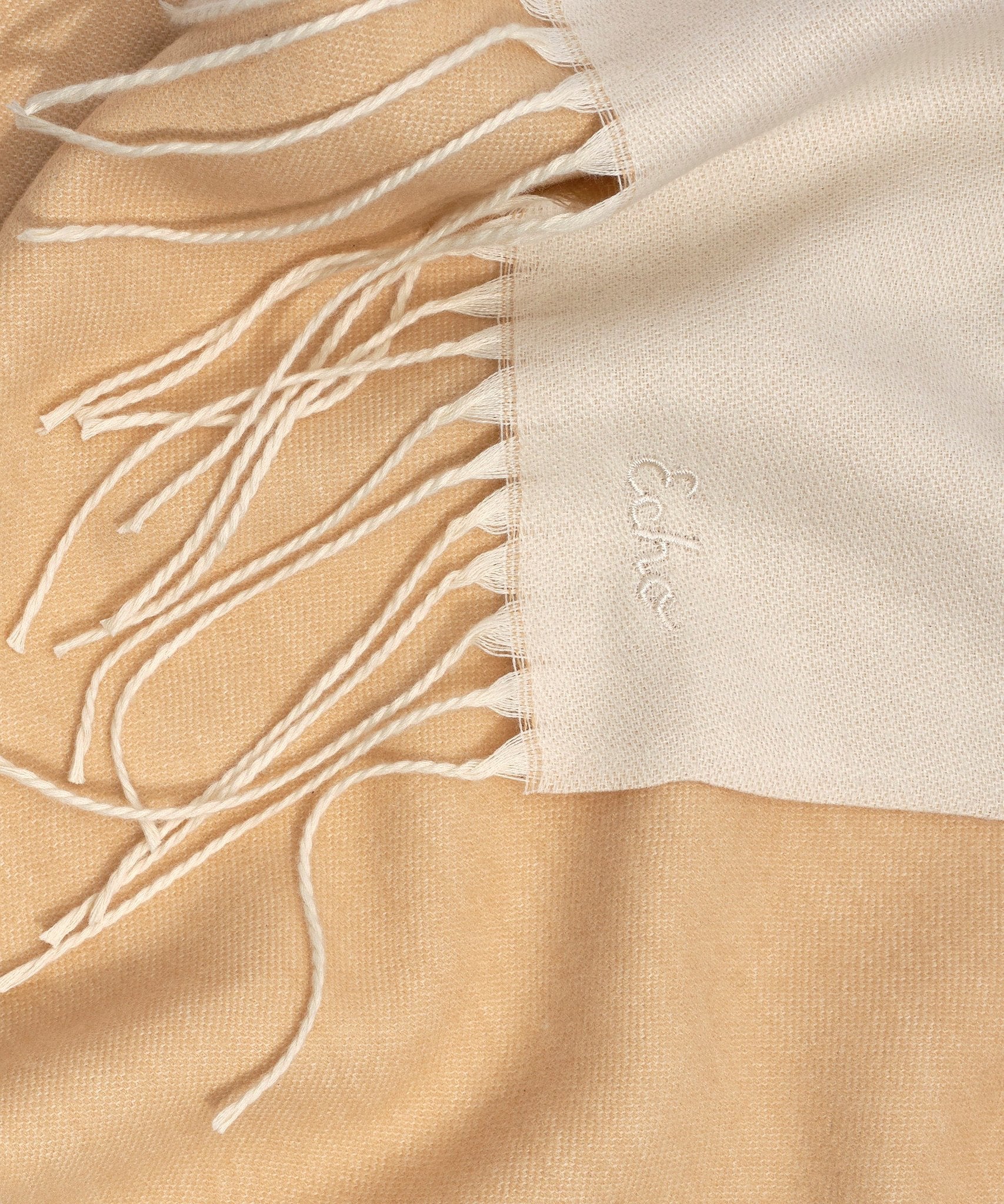 Double Sided Warm Winter Scarf for Women & Men - Soft Cashmere Blend Fashion Accessory for Cold Weather, Outfits & Gifts