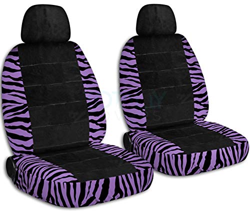 Purple Zebra & Black